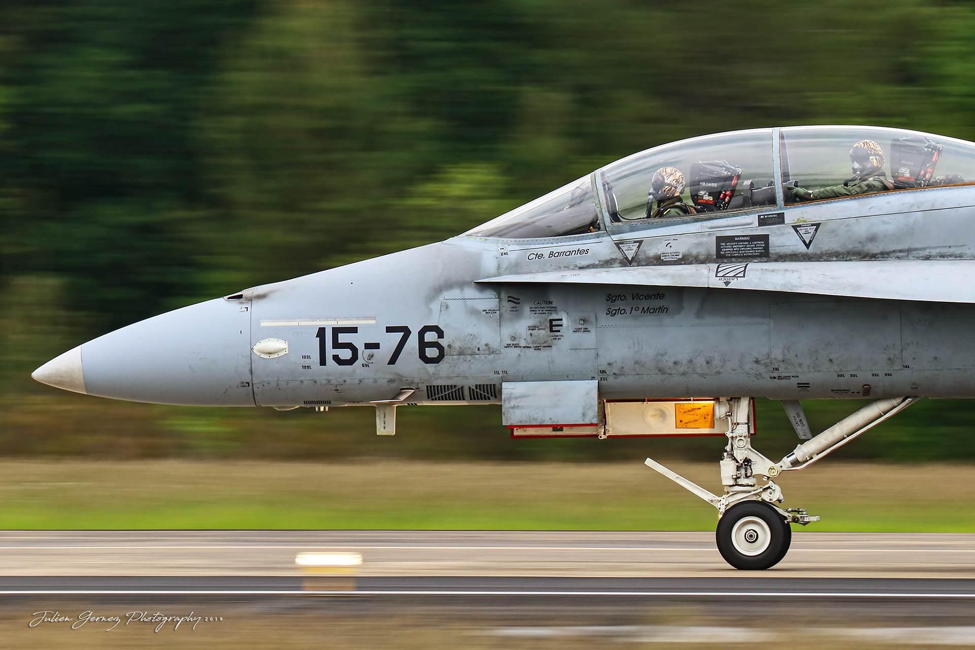 Mc Donnell Douglas EF-18BM Hornet - Spanish Air Force - Ala15