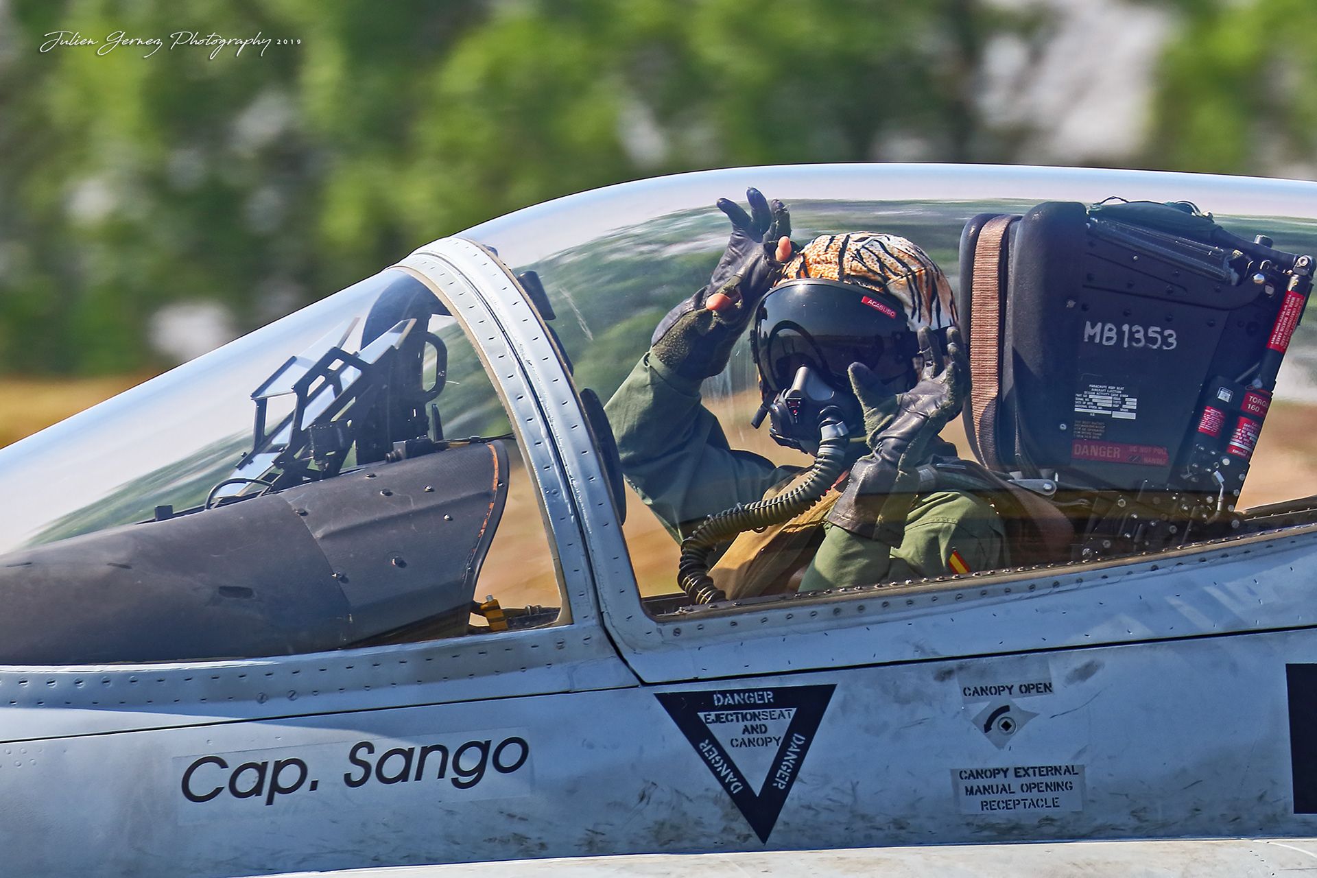 Mc Donnell Douglas EF-18M Hornet - Spanish Air Force - Ala15