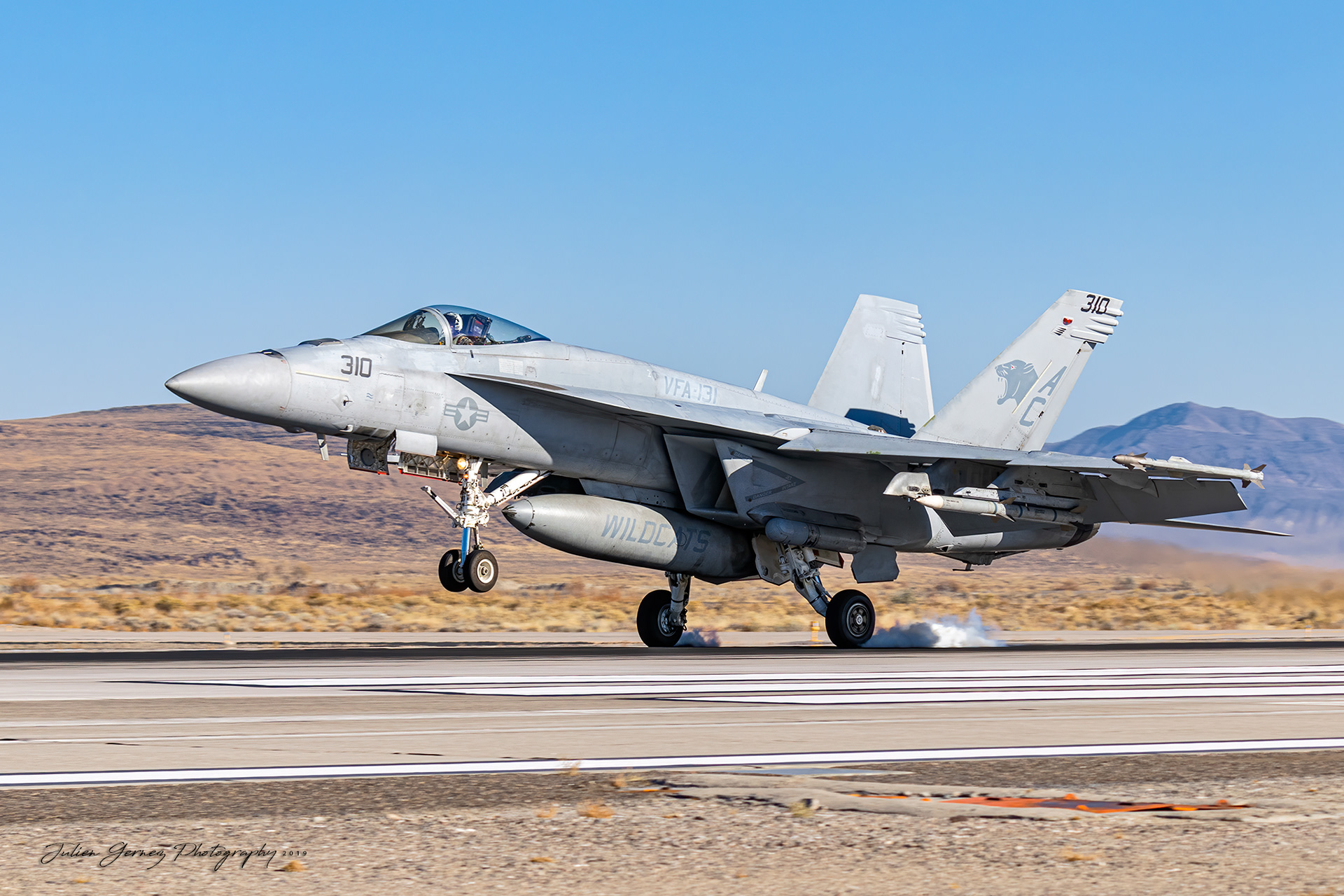 Boeing F/A-18E Super Hornet - US Navy - VFA-131 "Wildcats"