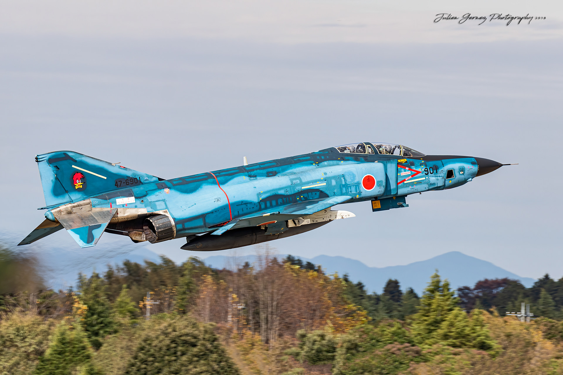 Mc Donnell Douglas RF-4E Phantom II - Japan Air Self Defense Force - Teisatsu Kokutai / 501 Hikotai
