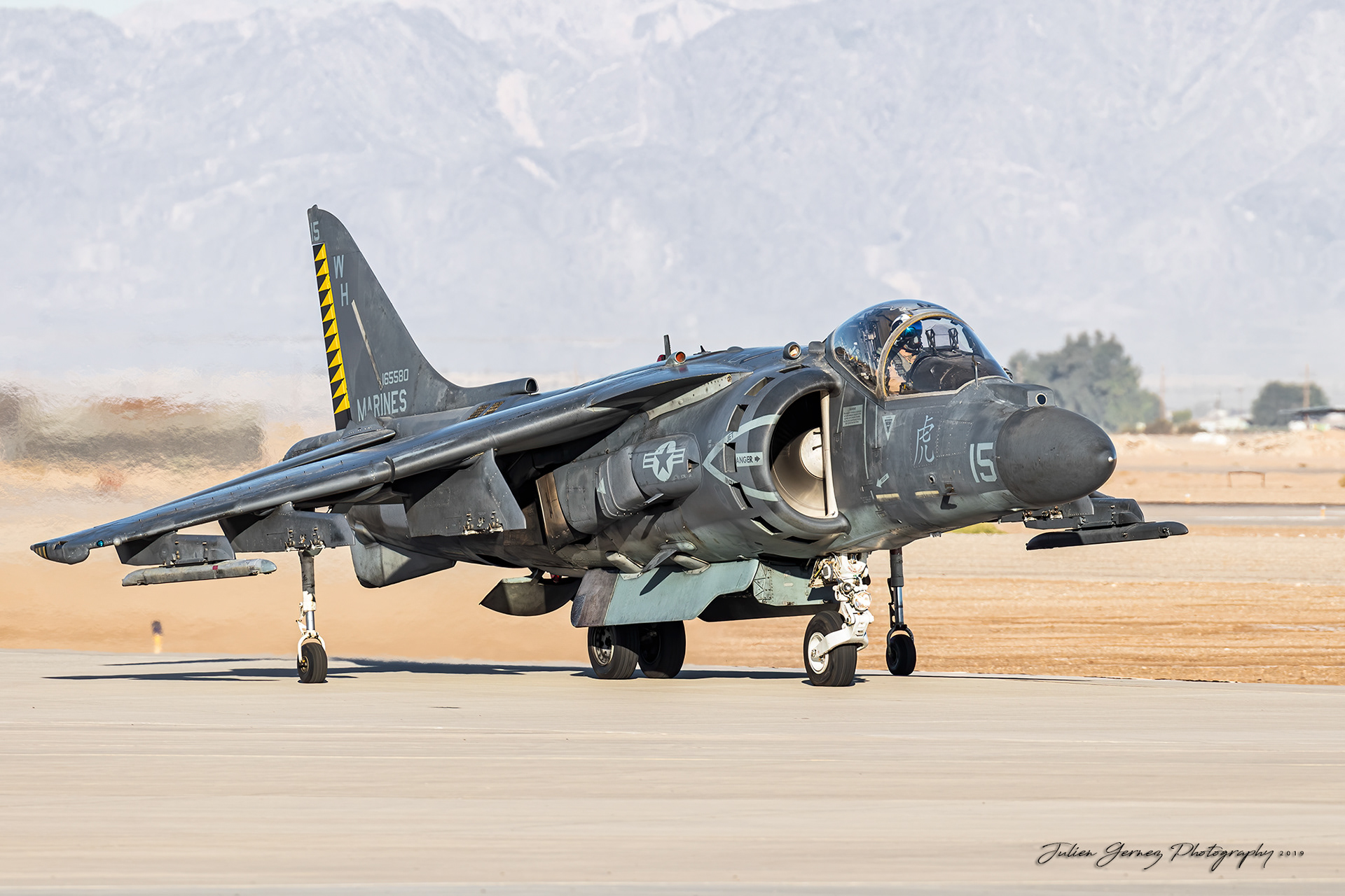 Mc Donnell Douglas AV-8B Harrier II+ - US Marines Corps - VMA-542 "Flying Tigers"