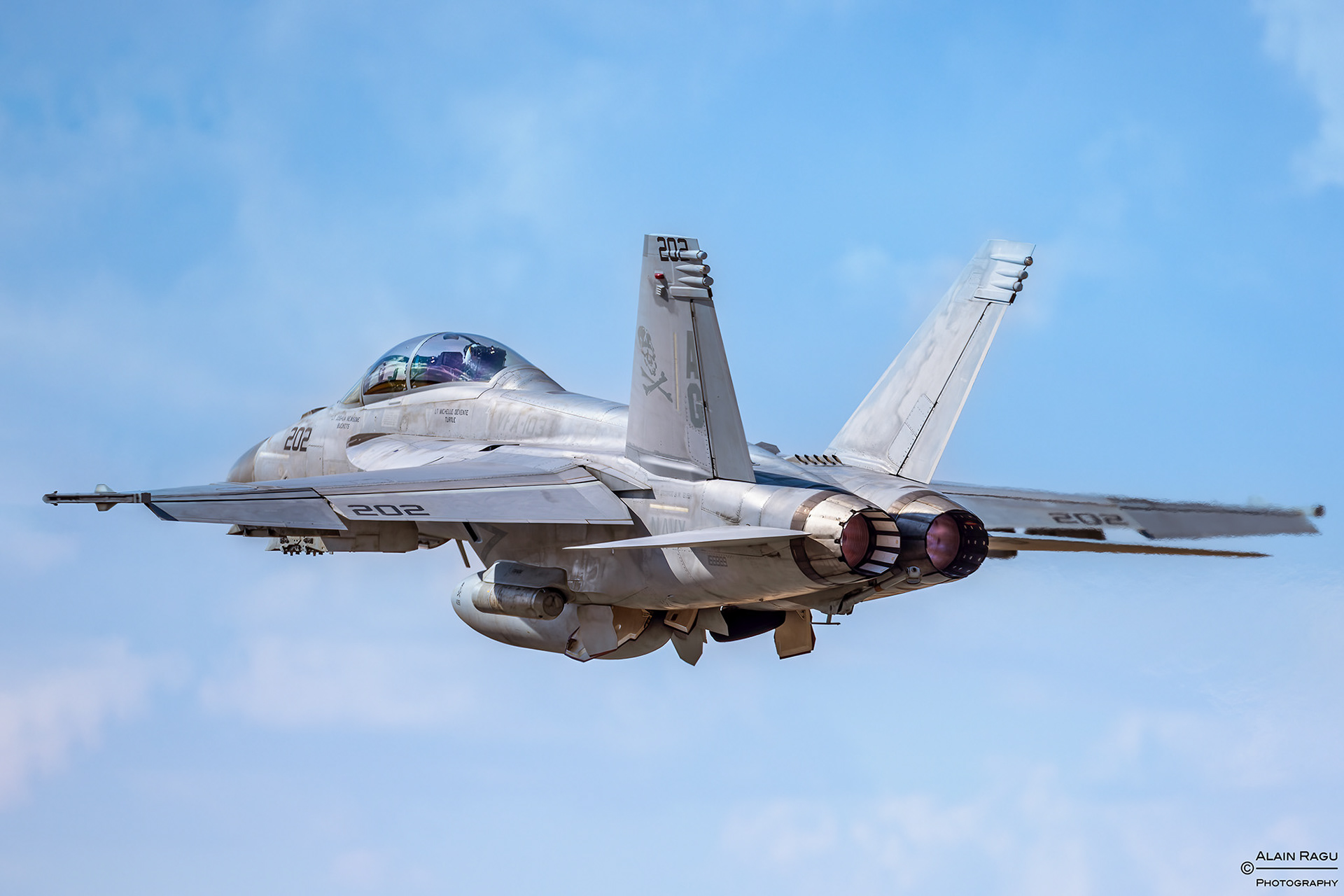 Boeing F/A-18F Super Hornet - US Navy - VFA-103 "Jolly Rogers"