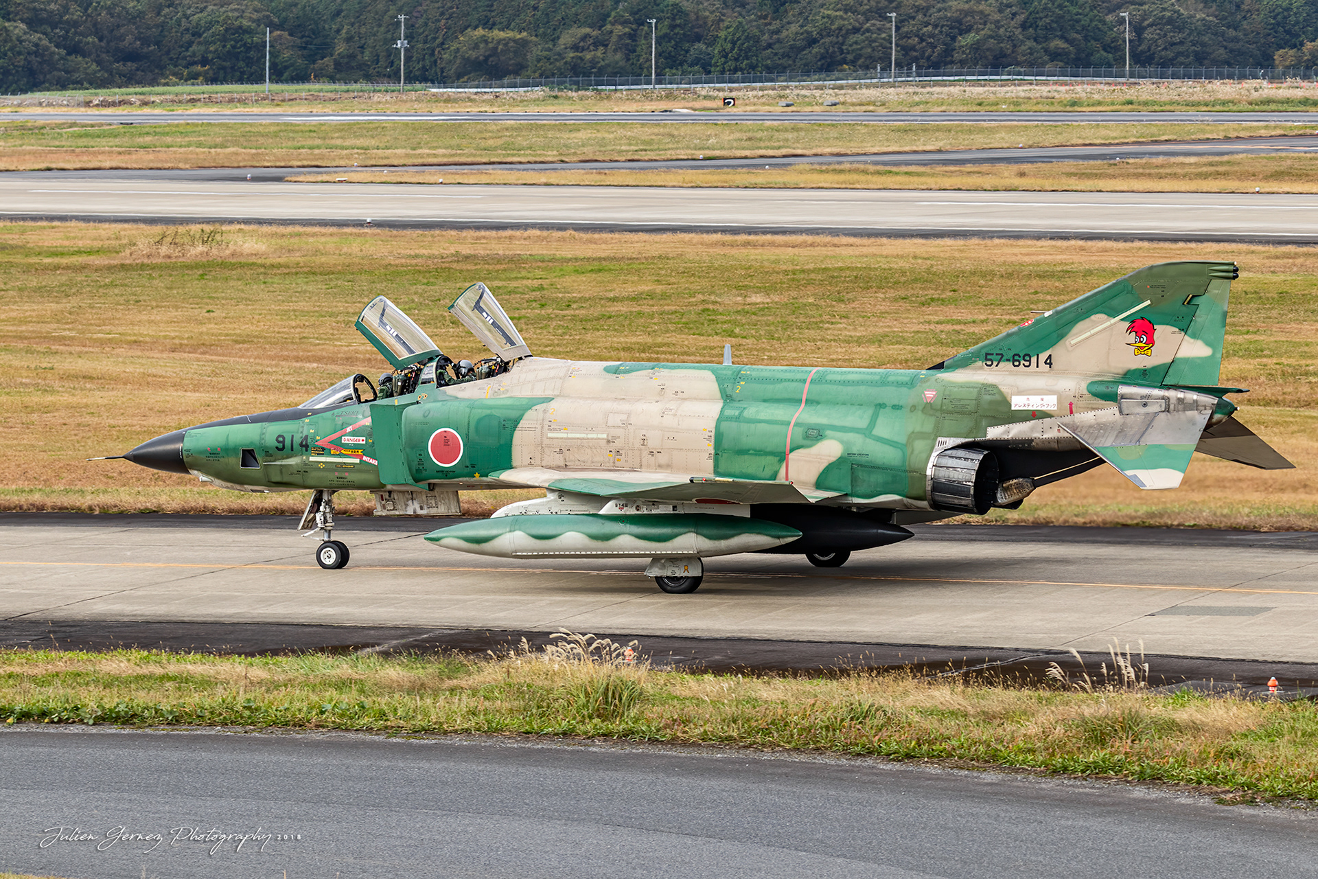 Mc Donnell Douglas RF-4E Phantom II - Japan Air Self Defense Force - Teisatsu Kokutai / 501 Hikotai