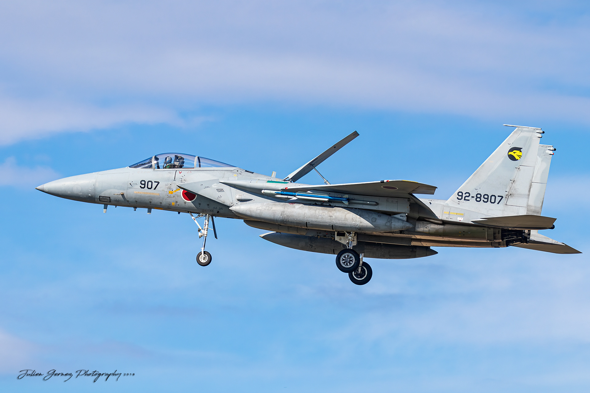Mc Donnell Douglas F-15J Eagle - Japan Air Self Defense Force - 6 Kokudan / 306 Hikotai