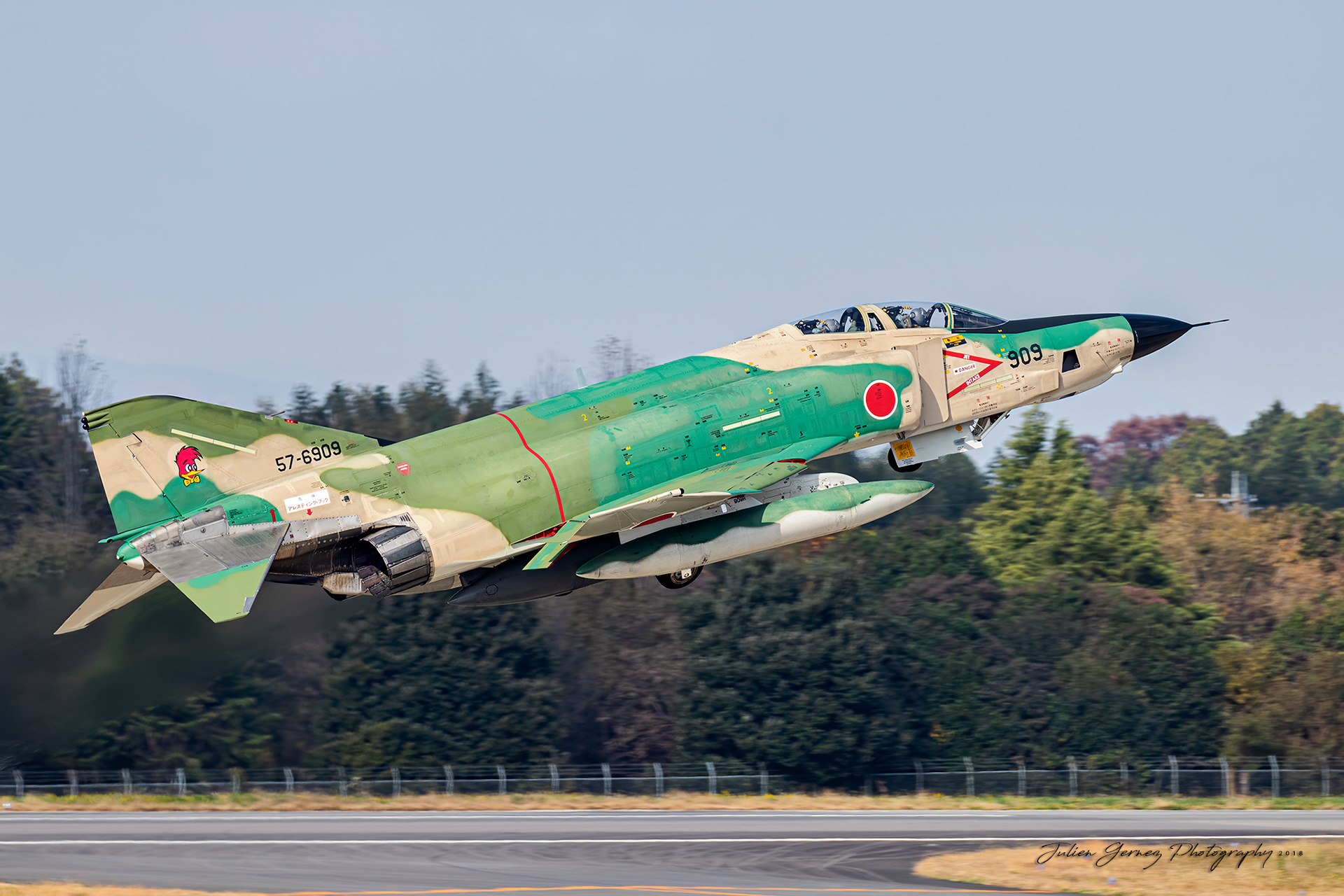 Mc Donnell Douglas RF-4E Phantom II - Japan Air Self Defense Force - Teisatsu Kokutai / 501 Hikotai