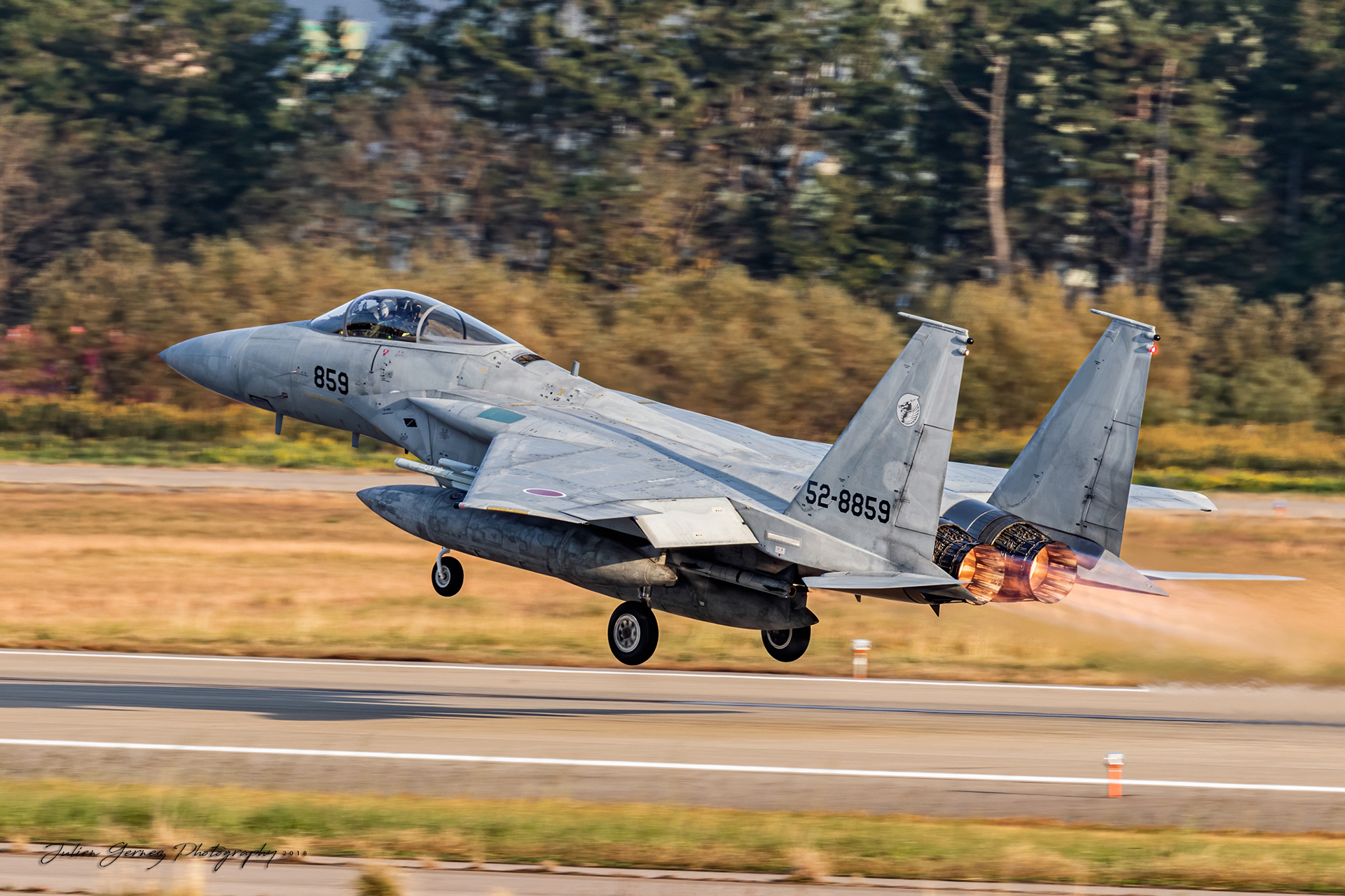 Mc Donnell Douglas F-15J Eagle - Japan Air Self Defense Force - 6 Kokudan / 303 Hikotai