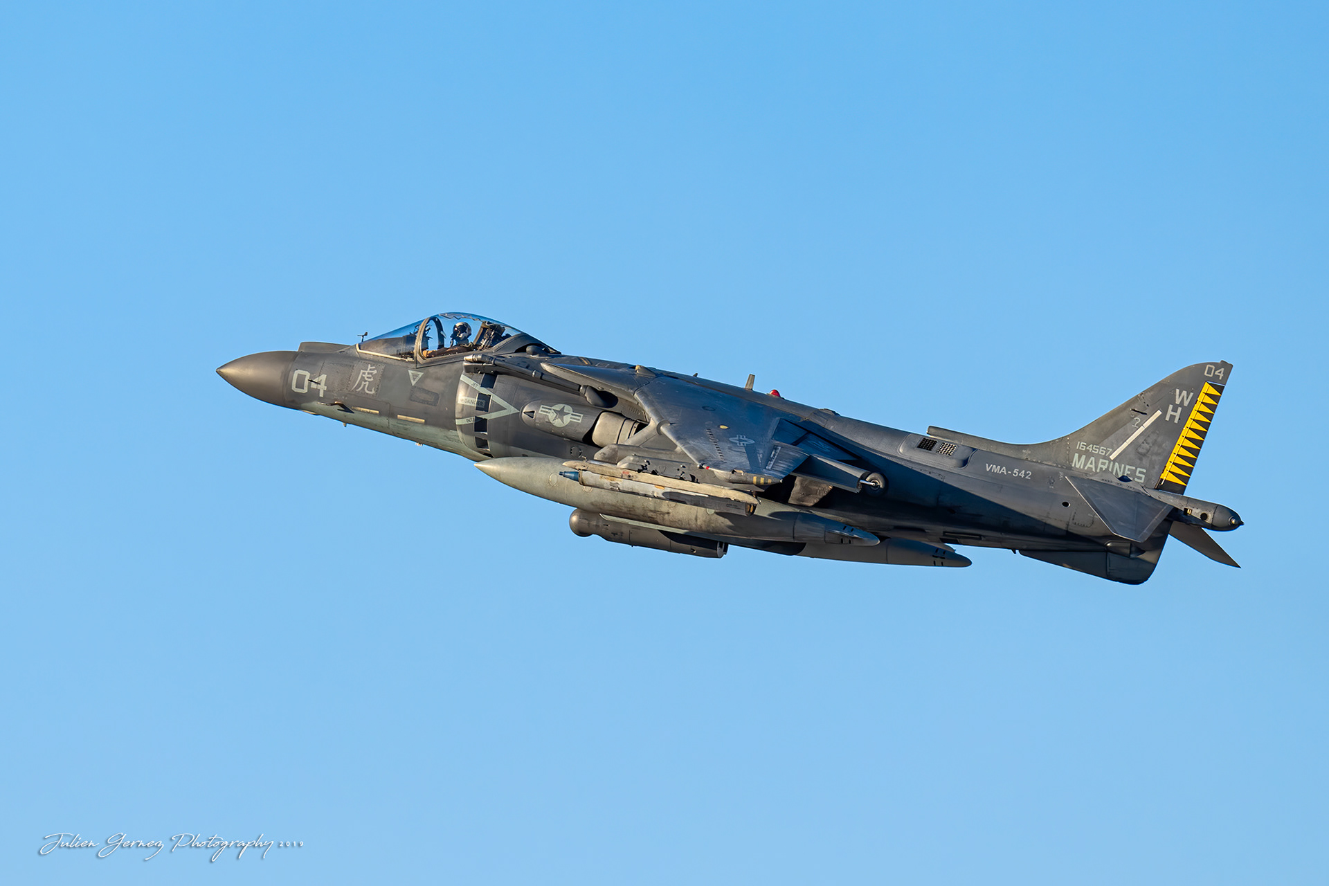 Mc Donnell Douglas AV-8B Harrier II+ - US Marines Corps - VMA-542 "Flying Tigers"