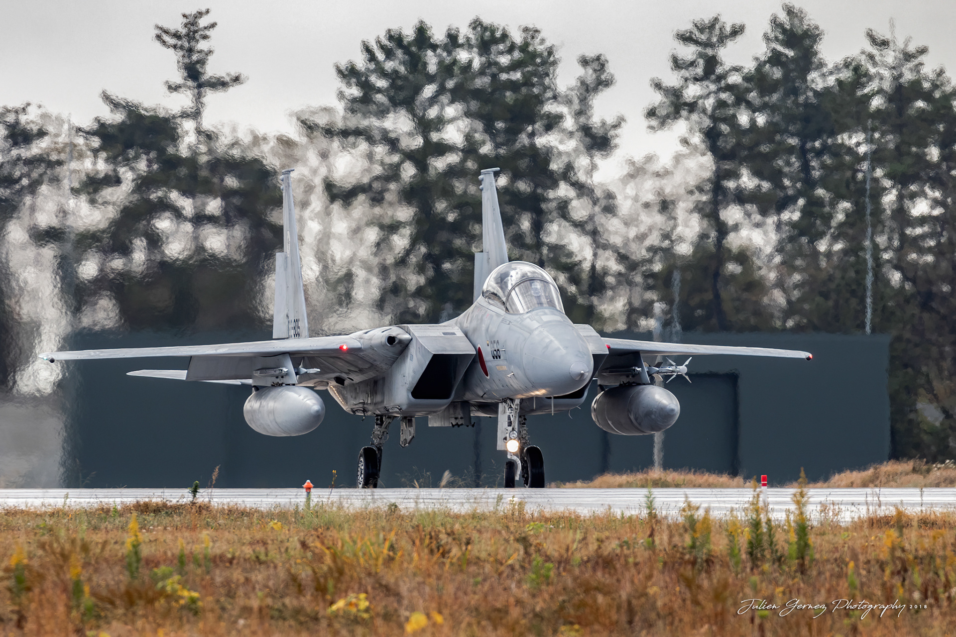 Mc Donnell Douglas F-15DJ Eagle - Japan Air Self Defense Force - 6 Kokudan / 303 Hikotai