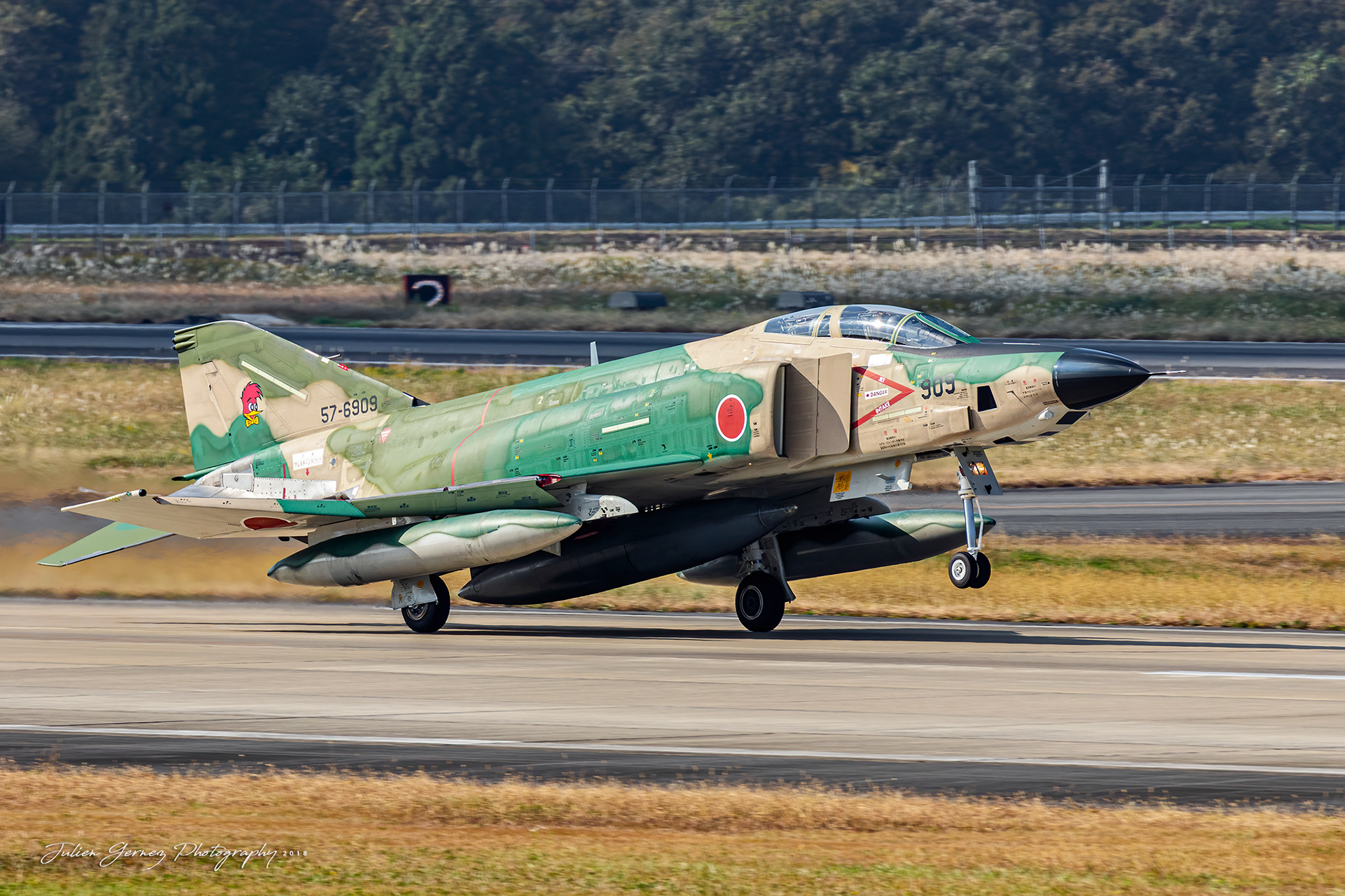 Mc Donnell Douglas RF-4E Phantom II - Japan Air Self Defense Force - Teisatsu Kokutai / 501 Hikotai