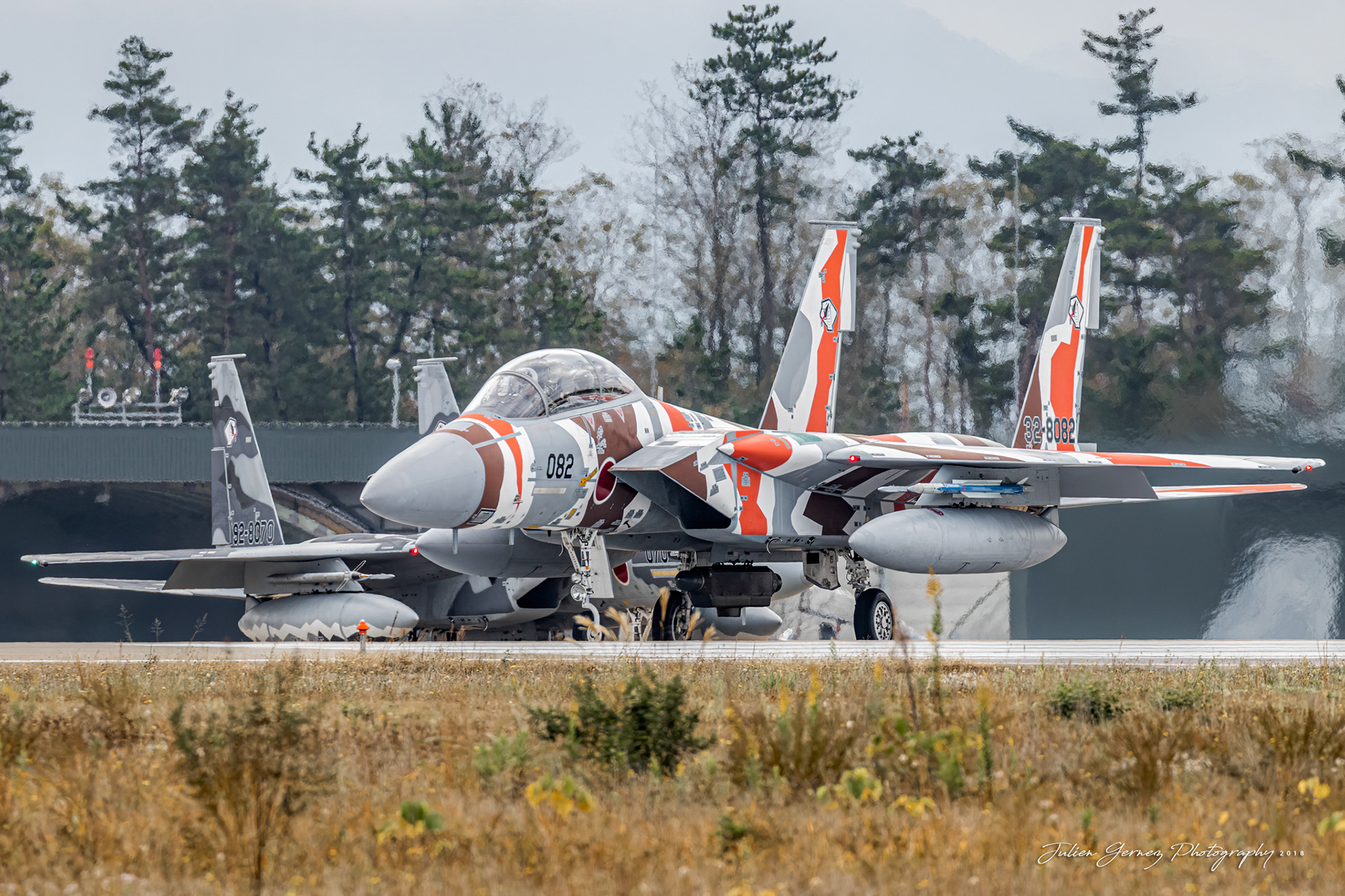 Mc Donnell Douglas F-15DJ Eagle - Japan Air Self Defense Force - Koku Senjyutsu Kyododan / Hiko Kyodogun