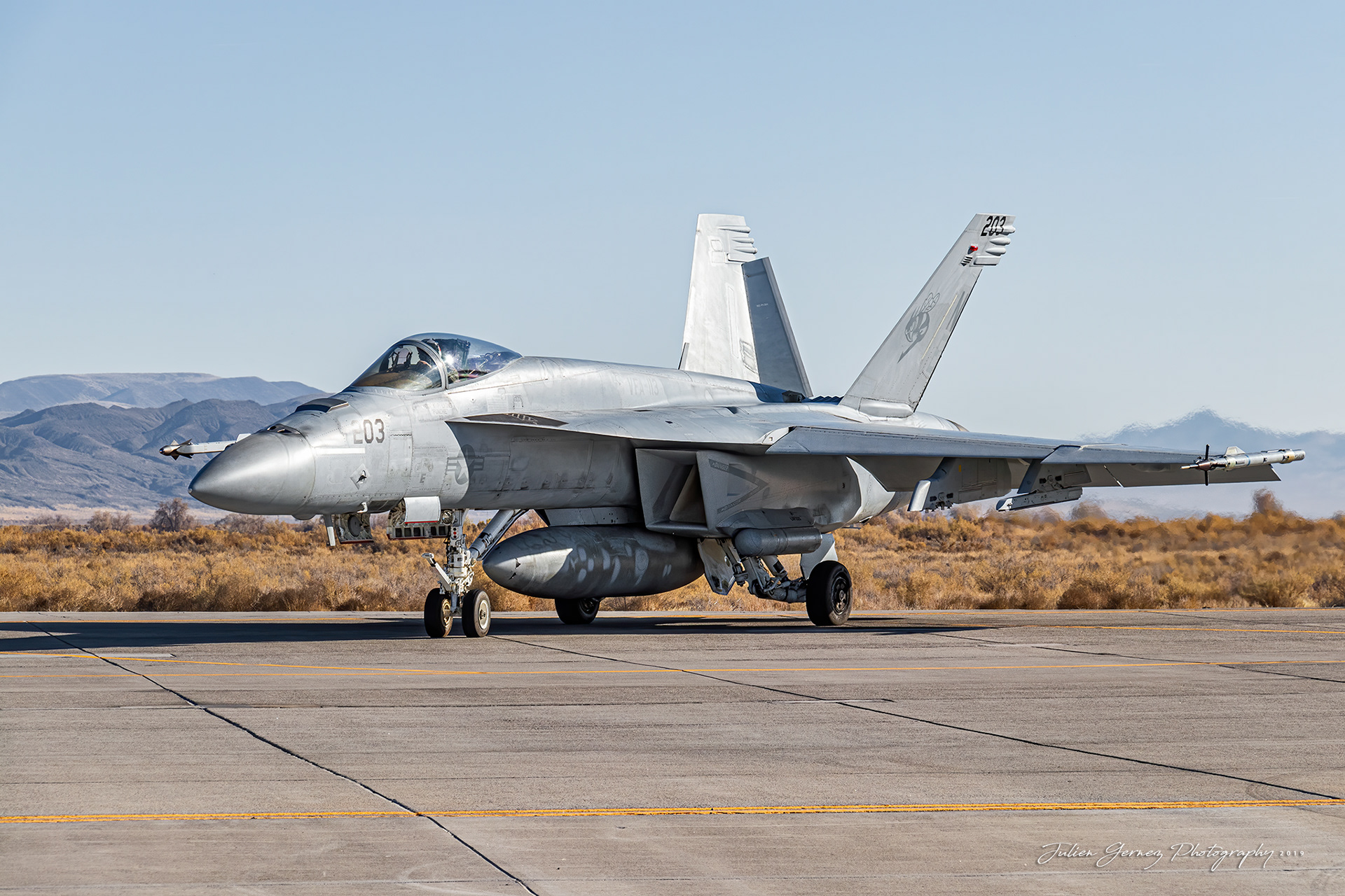 Boeing F/A-18E Super Hornet - US Navy - VFA-113 "Stingers"