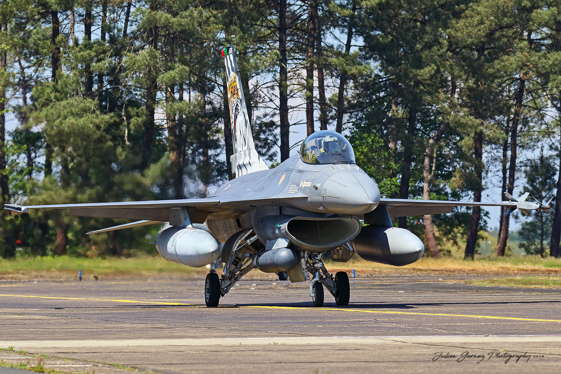 General Dynamics F-16AM Fighting Falcon - Portuguese Air Force - 301 Esq "Jaguares"