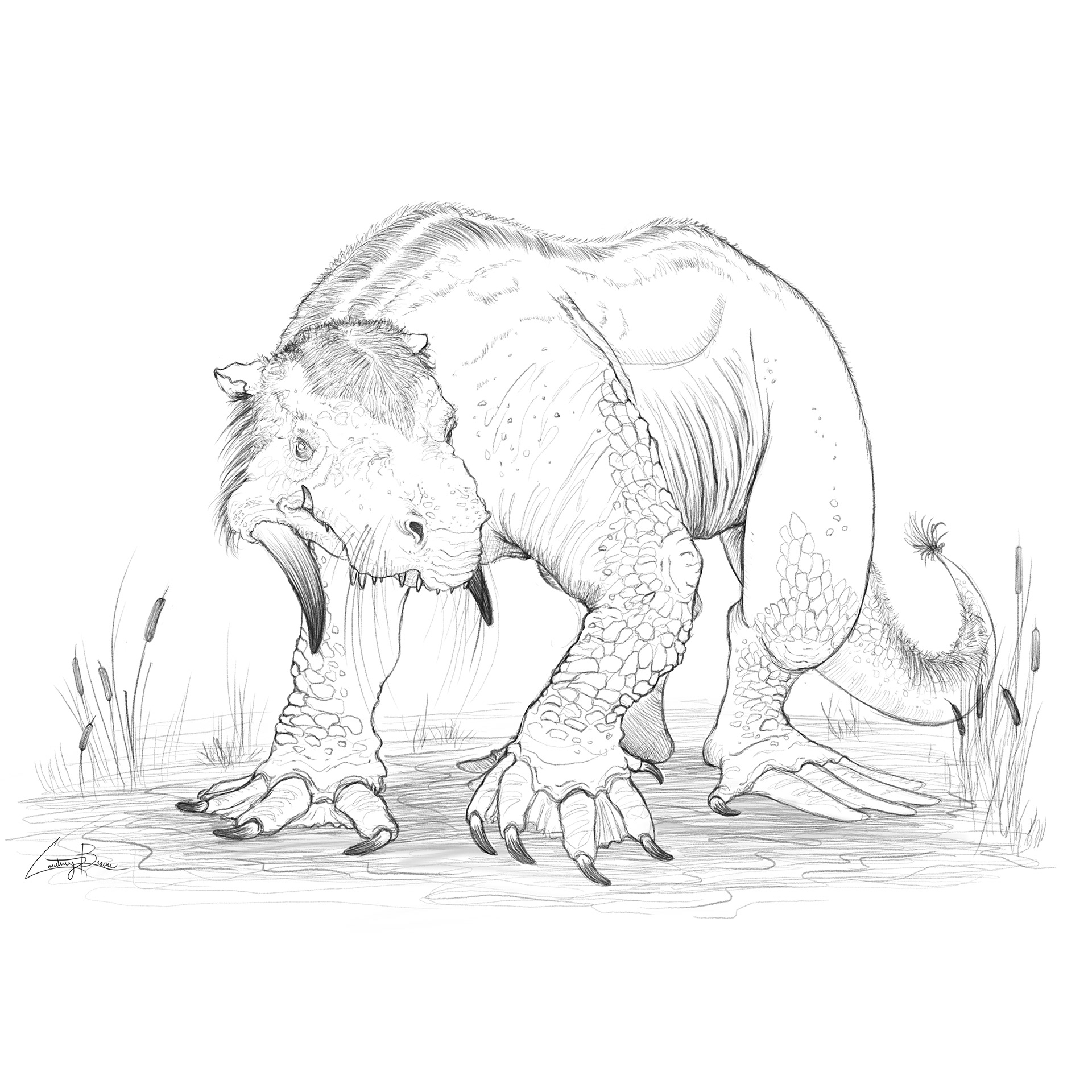 Bunyip (Updated) | Aboriginal