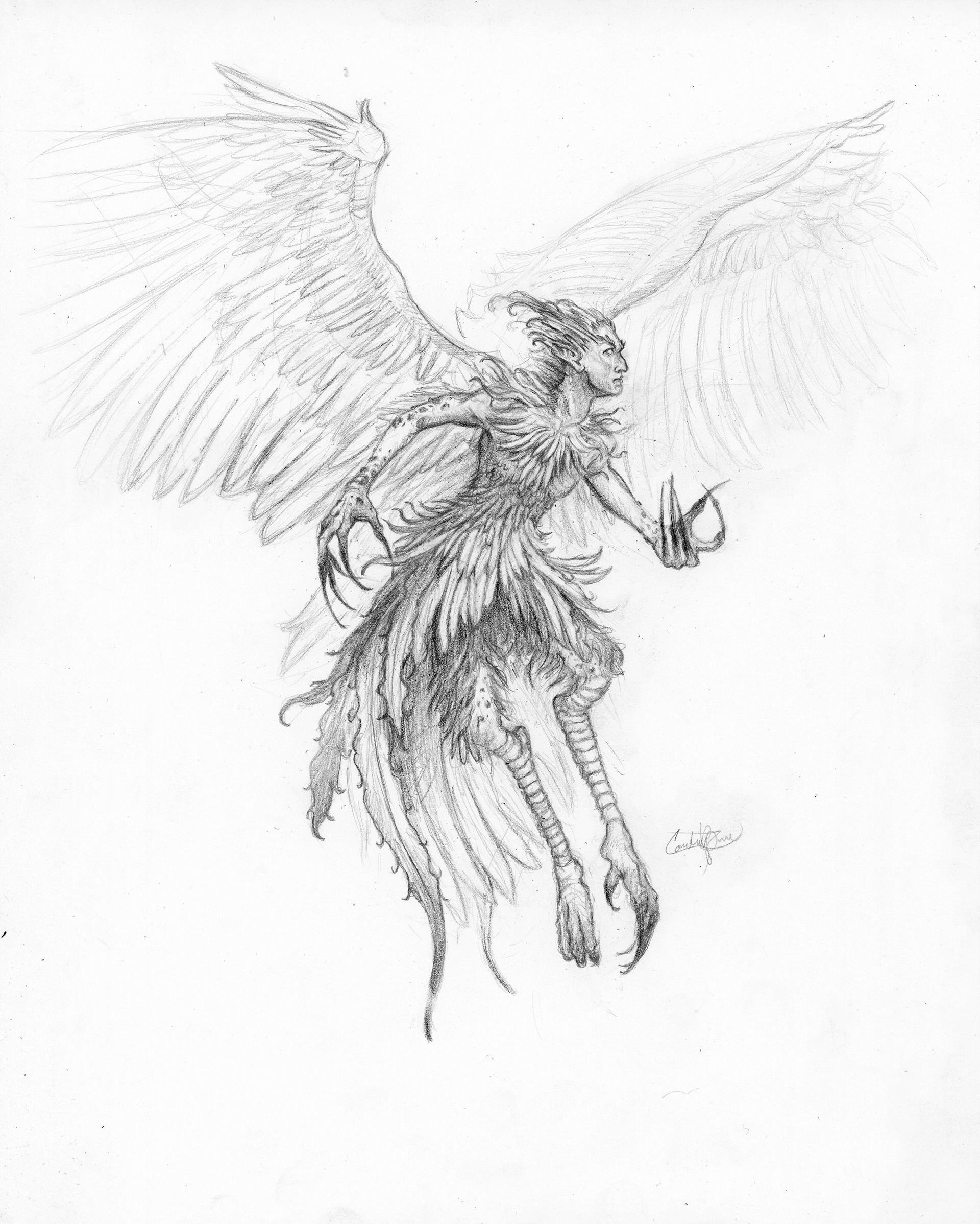 Harpy | Greek/Roman