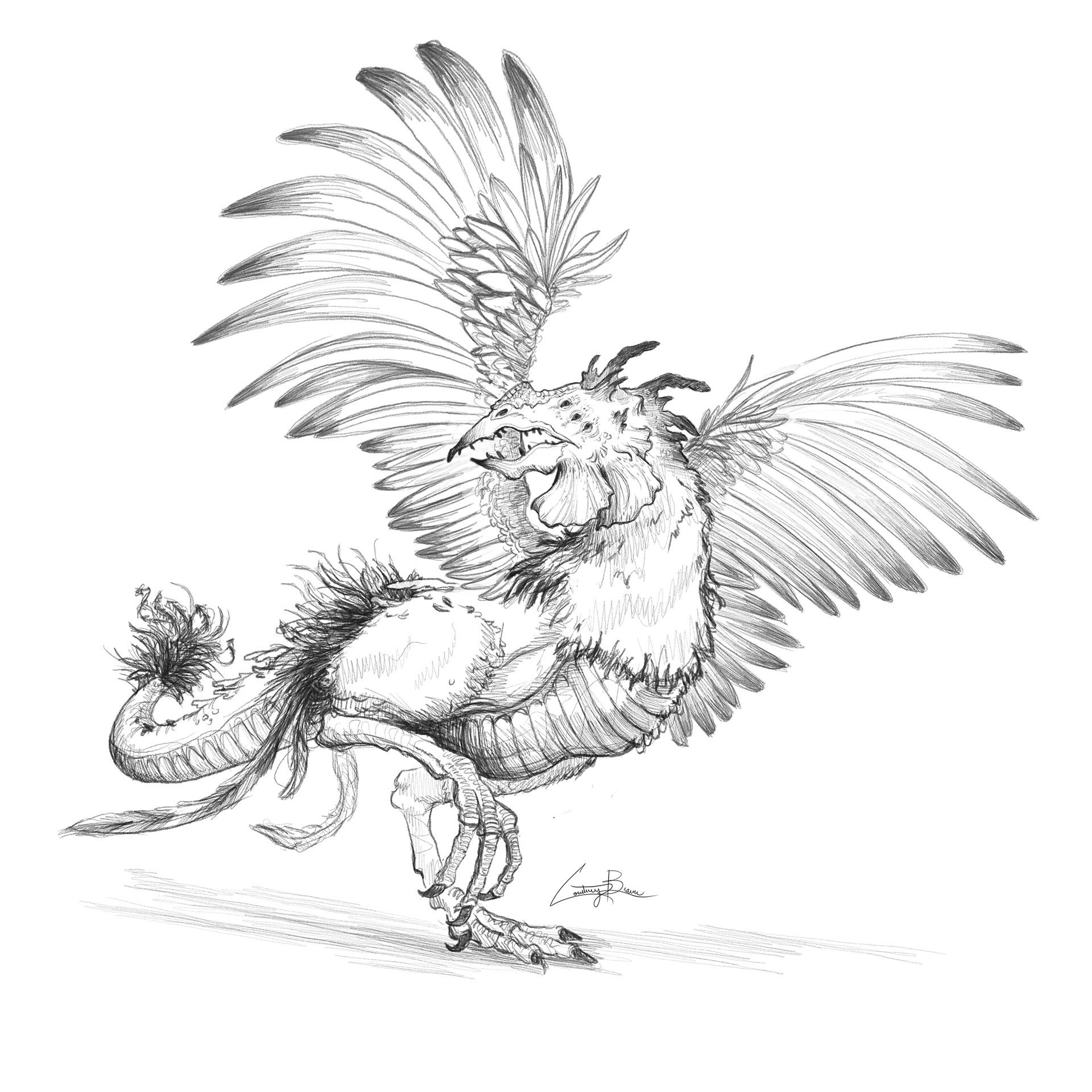 Cockatrice | Roman