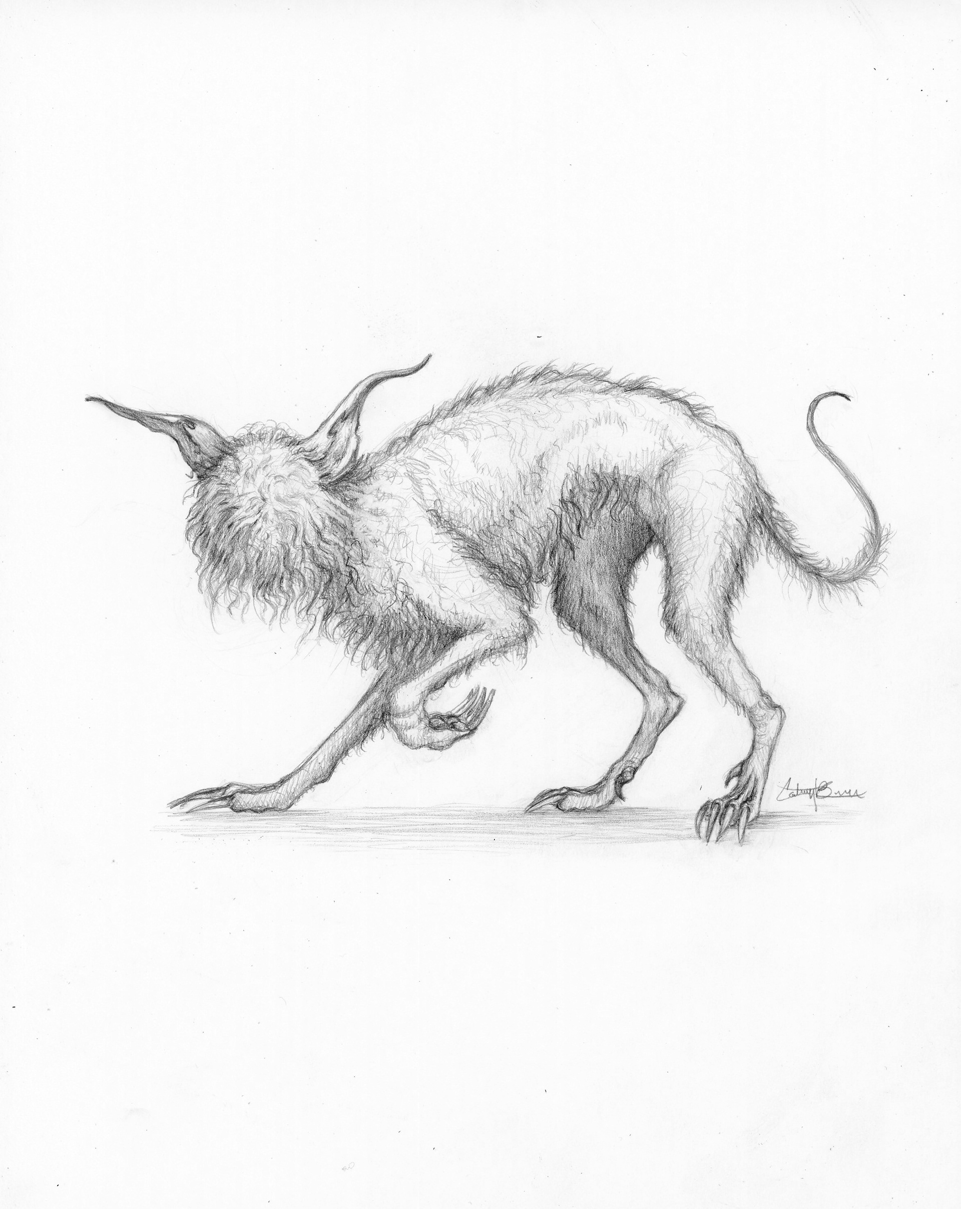 Manchester Barghest | British