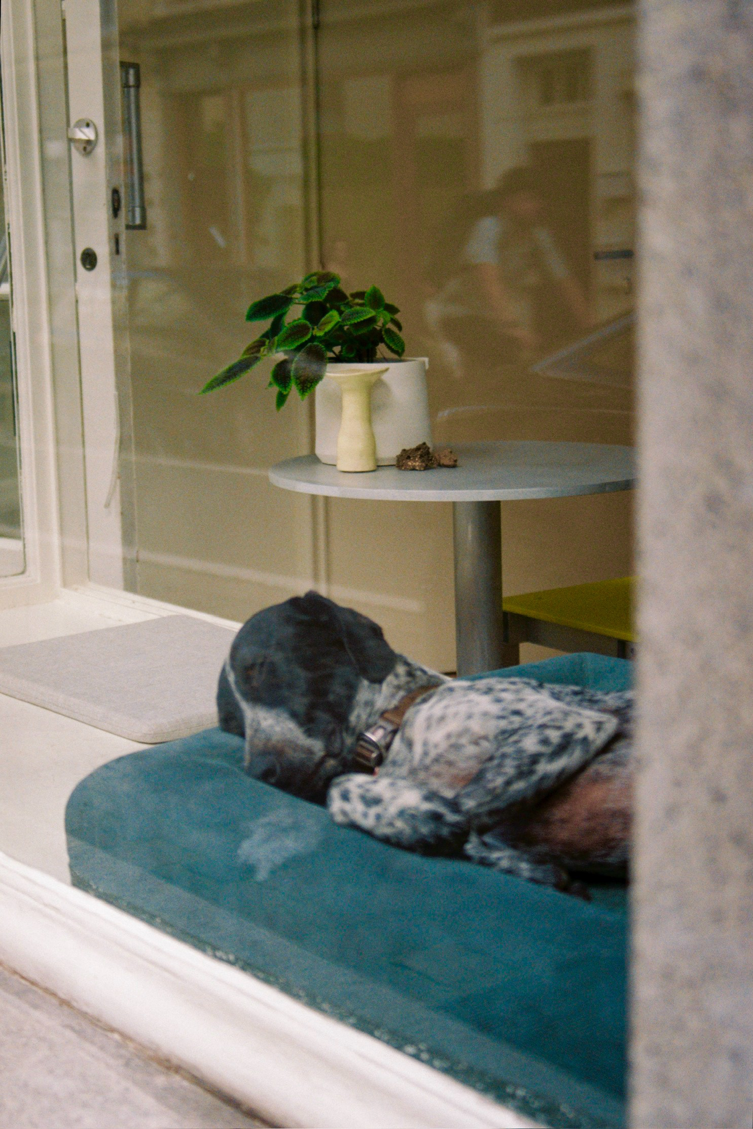 Belgium, Brussels, Matonge 2024.