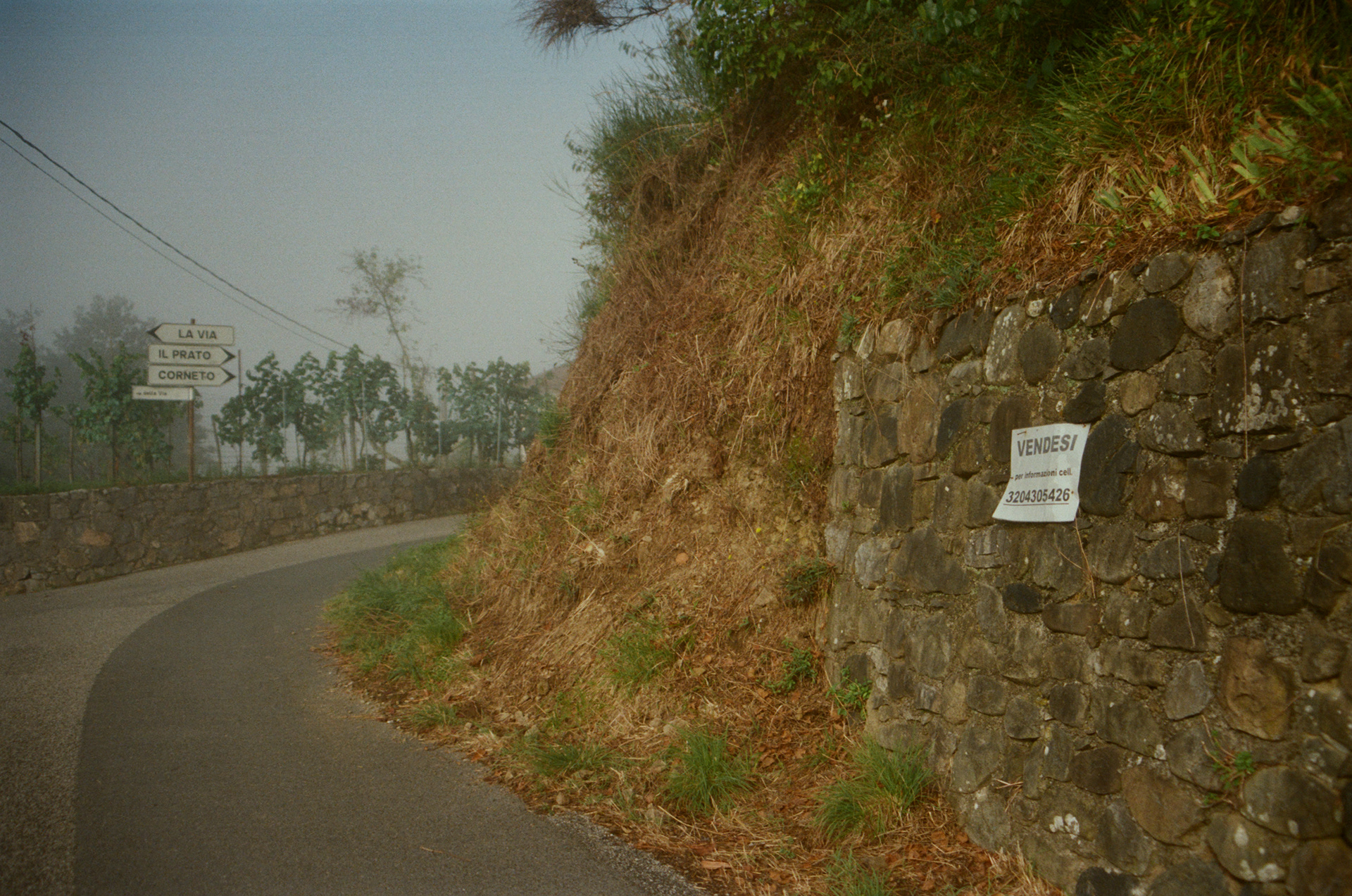 "To sell". Italy, Cassana, Via della Via 2025.