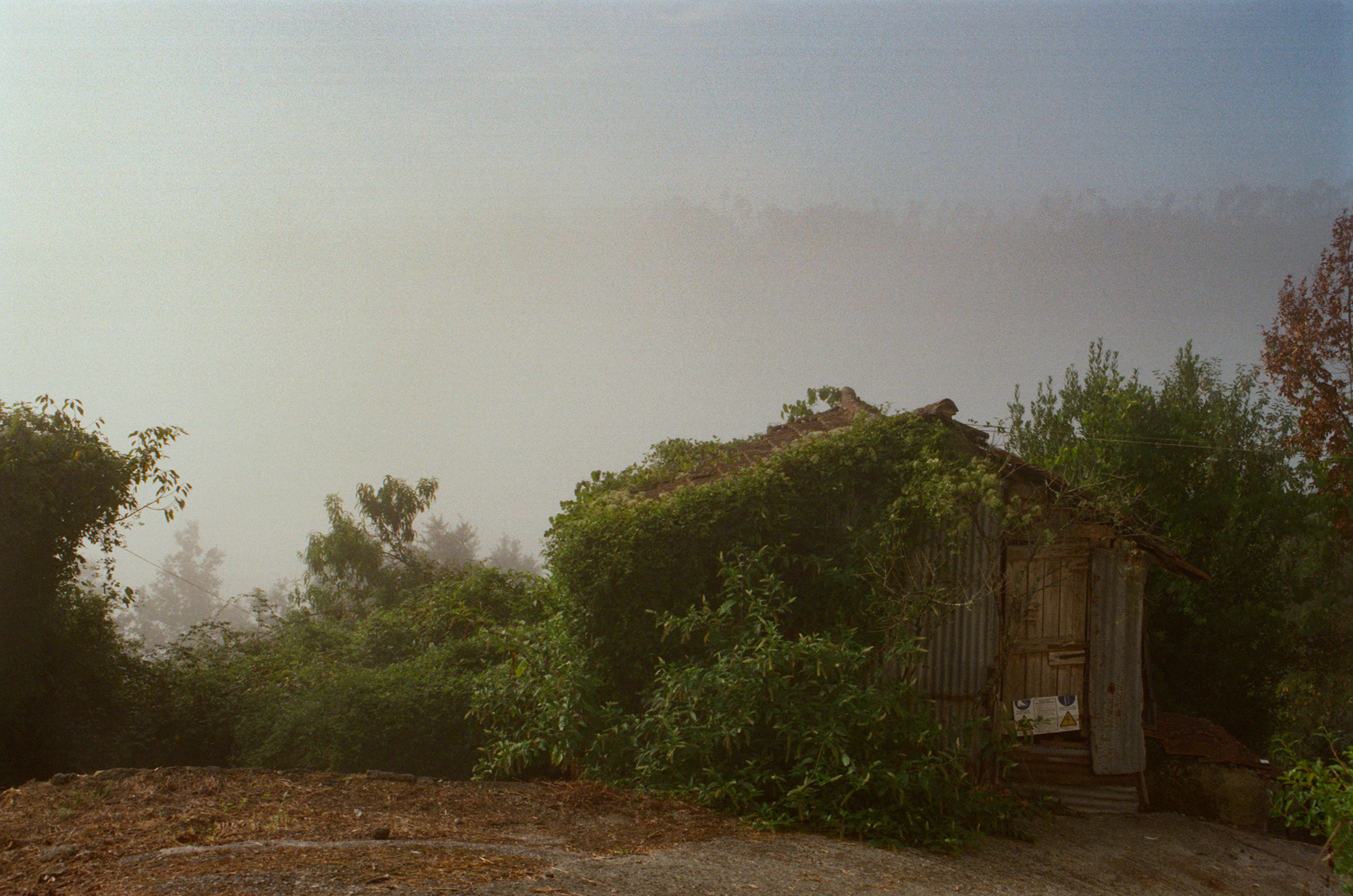 Italy, Cassana, Via della Via 2025.
