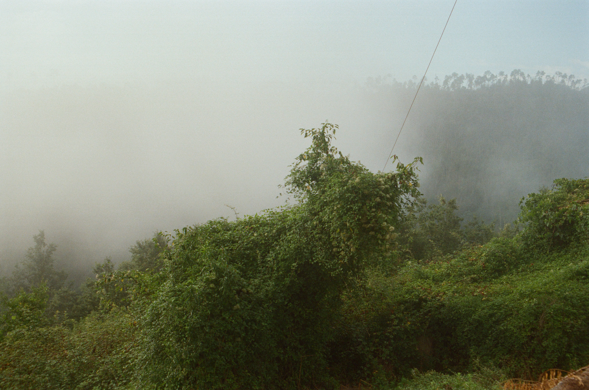 Italy, Cassana, Via della Via 2025.