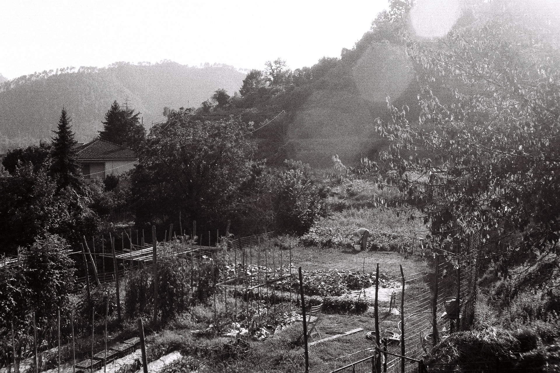 Italy, Cassana, Via della Via 2024.