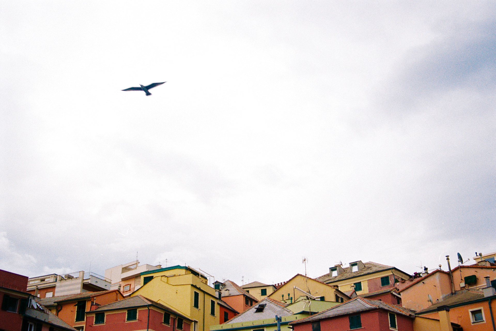 Italy, Genoa, Boccadasse 2024.