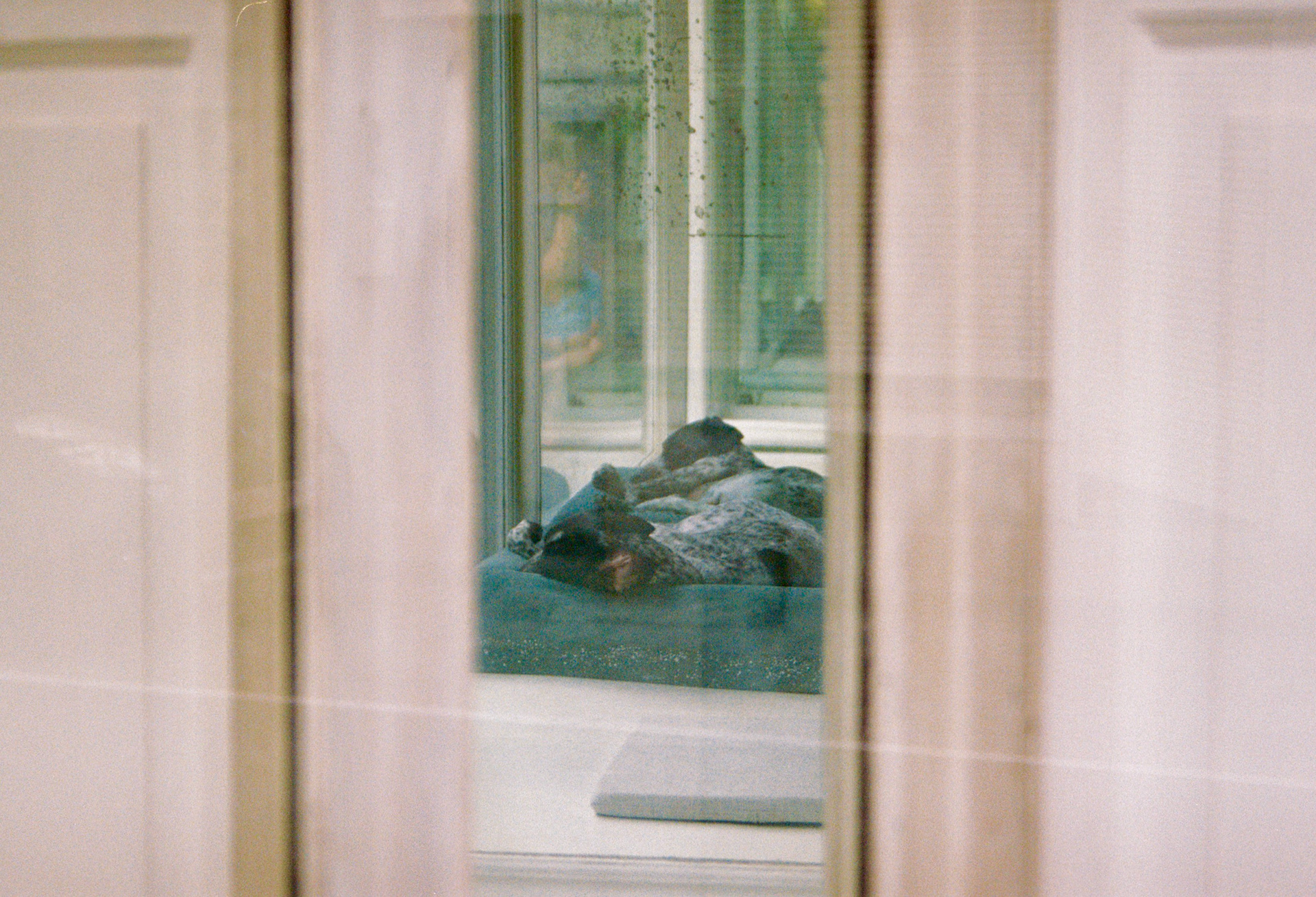 Belgium, Brussels, Matonge 2024.