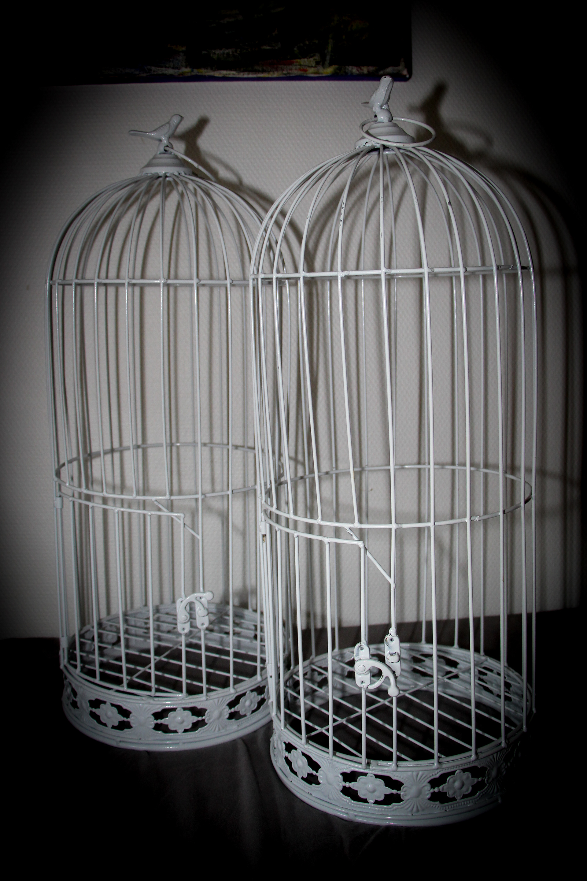 GRANDE CAGE BLANCHES LOCATION DUO 5 EUROS