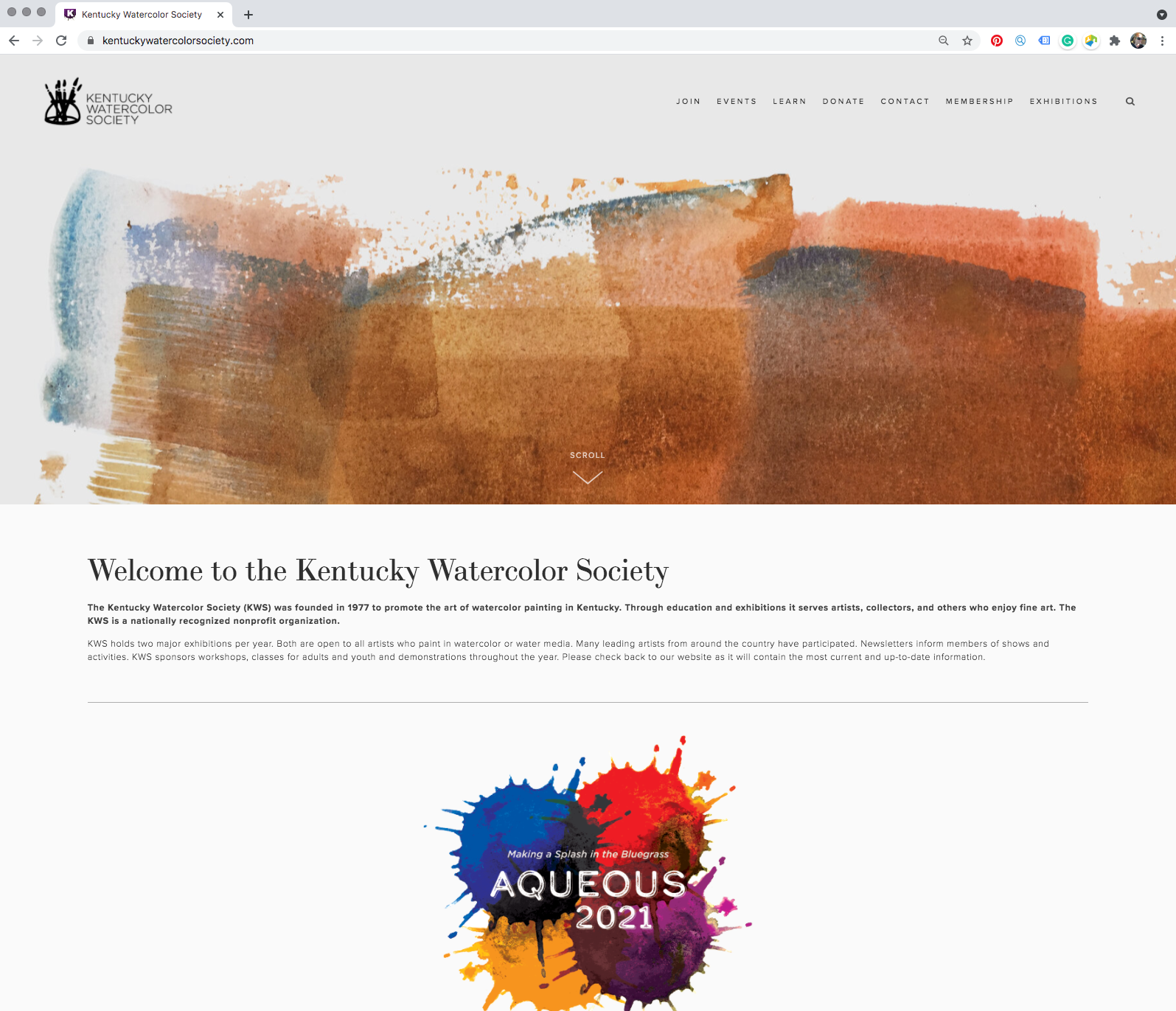 kentuckywatercolorsociety.com