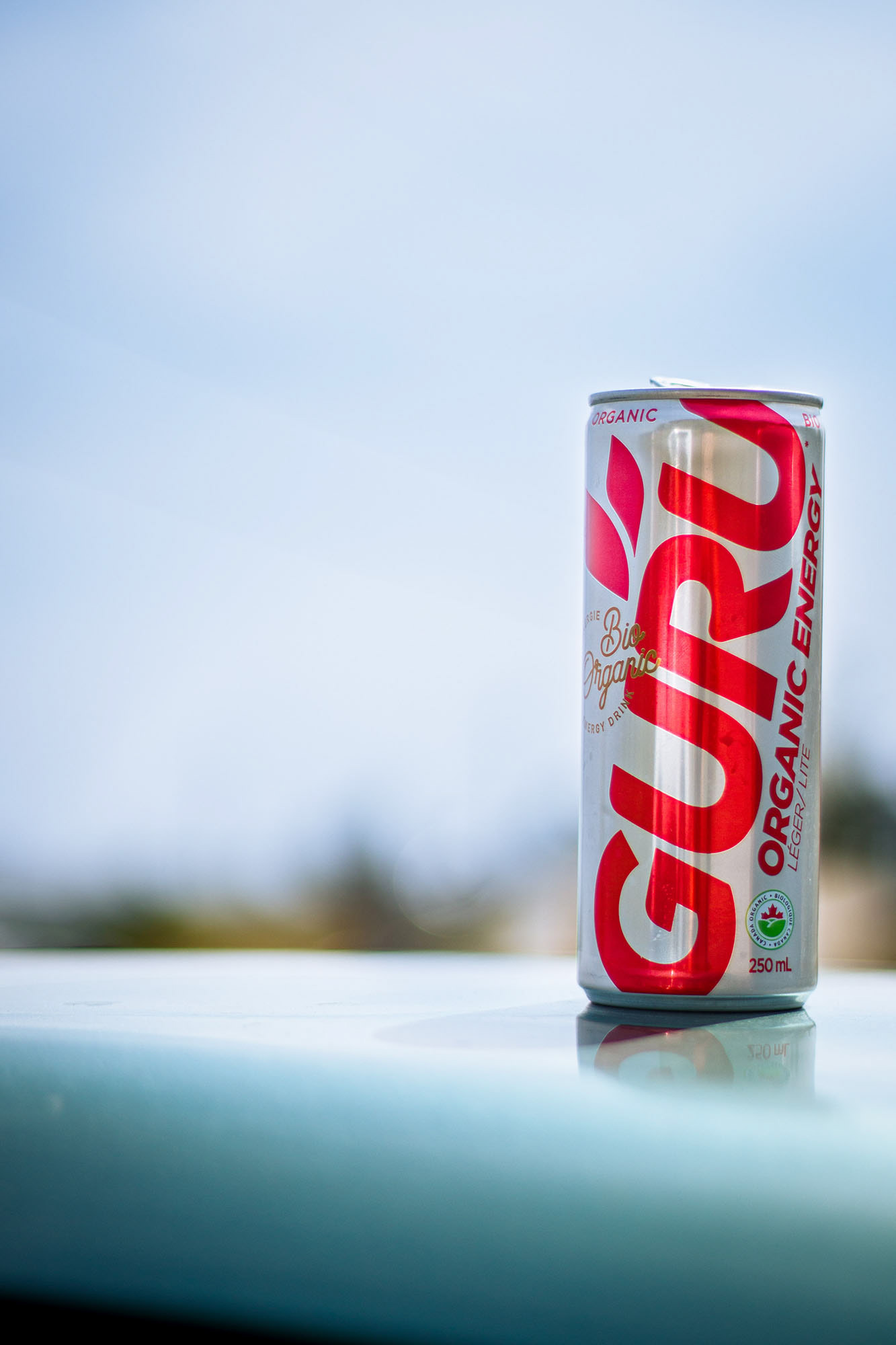 Guru Energy