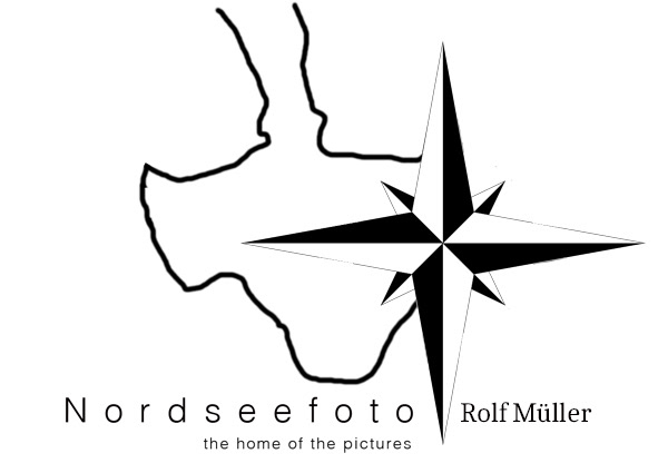 rolf mueller
