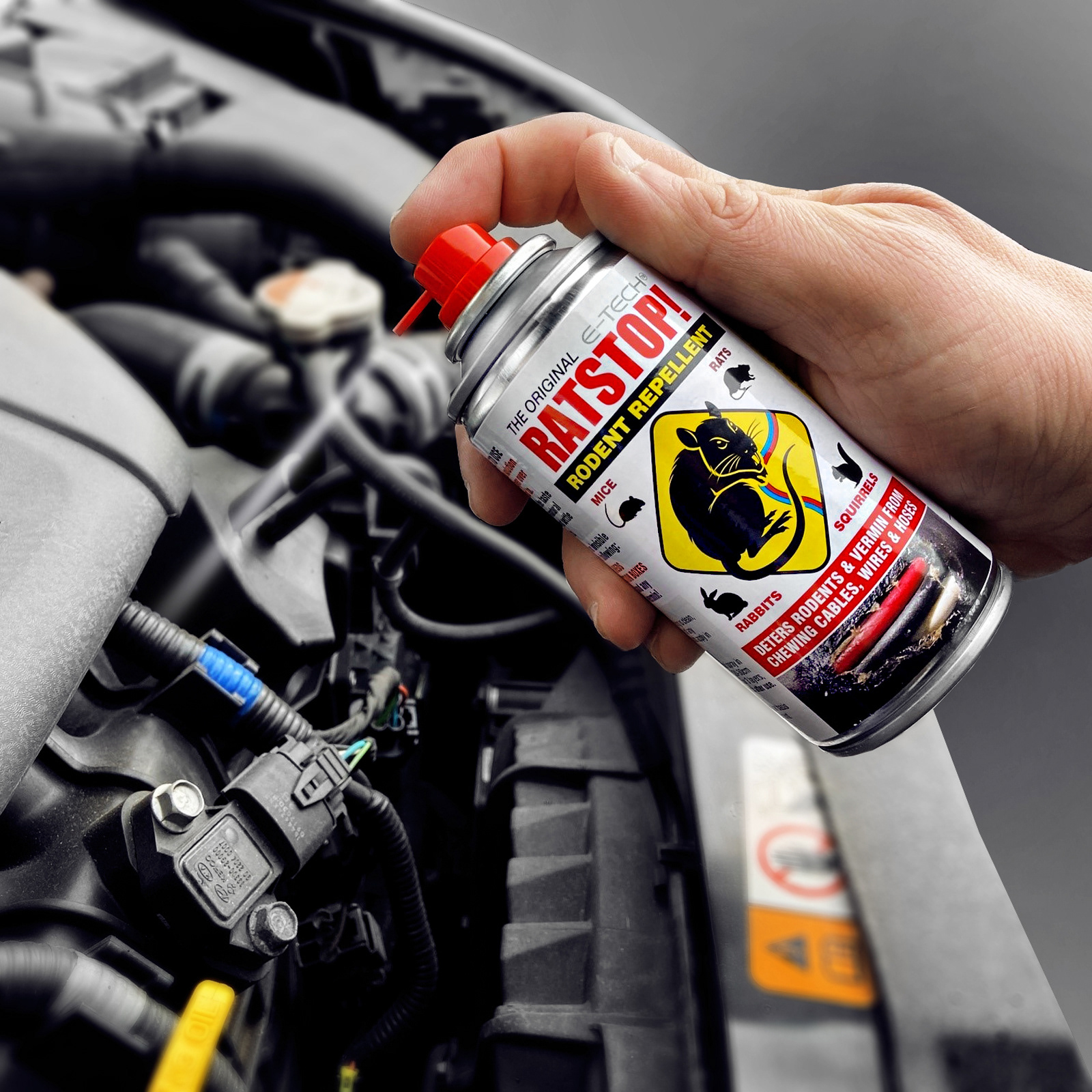 Lifestyle automotive product photo | product in use photo for website , marketing, social media
