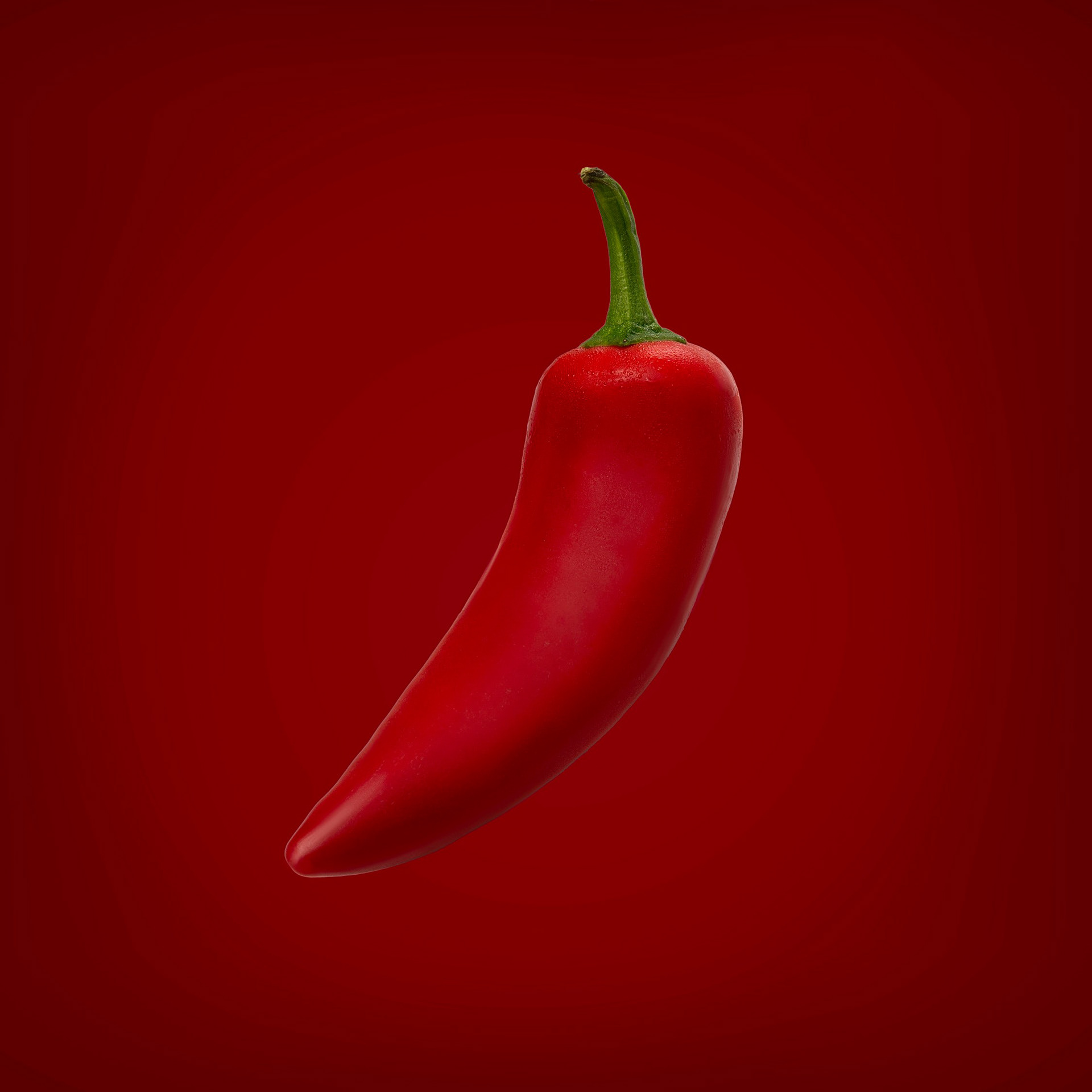 Food Photography | Chilli Isolated on red background