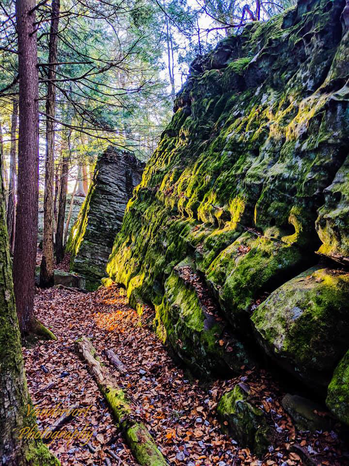 Bilger's Rocks - Clearfield County, PA