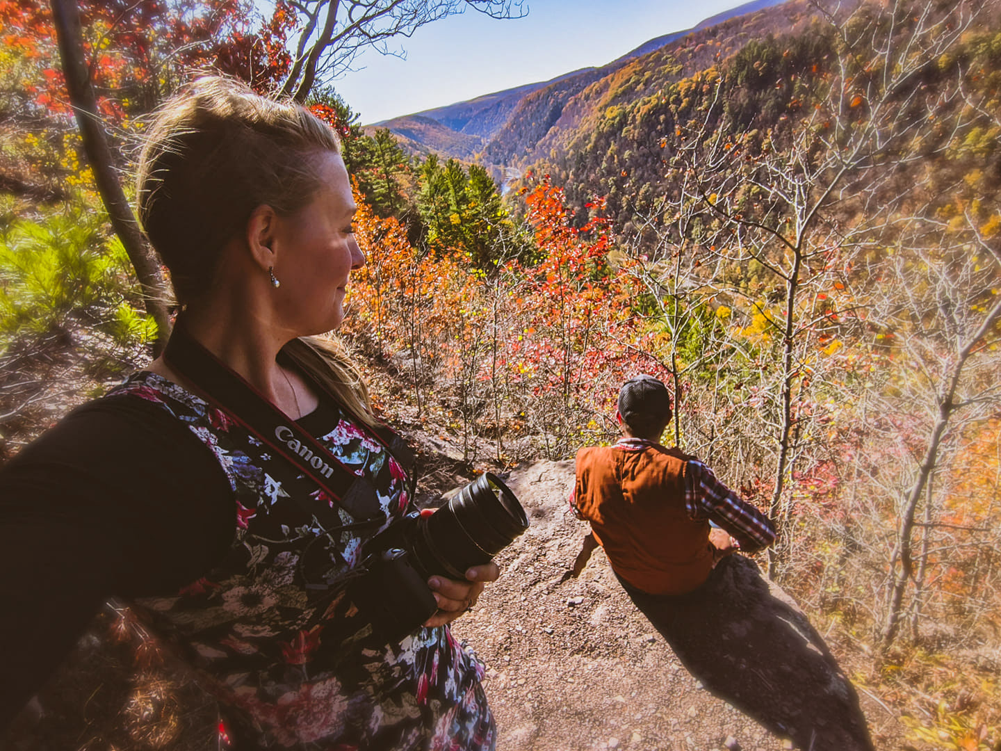 Pennsylvania Grand Canyon - Pine Creek Gorge
