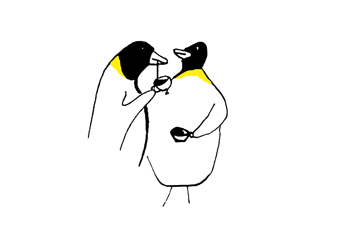 Pinguins discuss