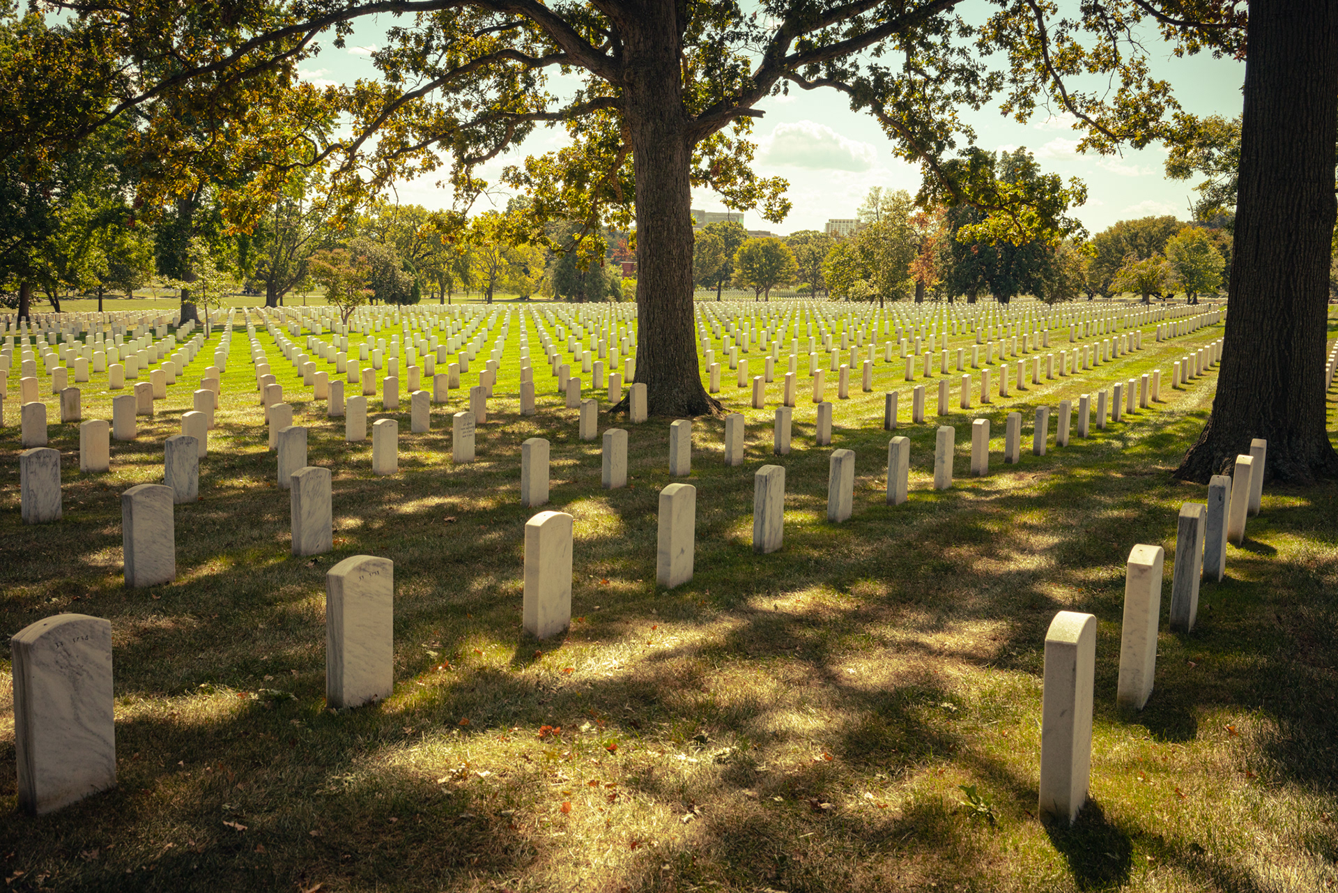 Arlington Cemetery, VA, 2022