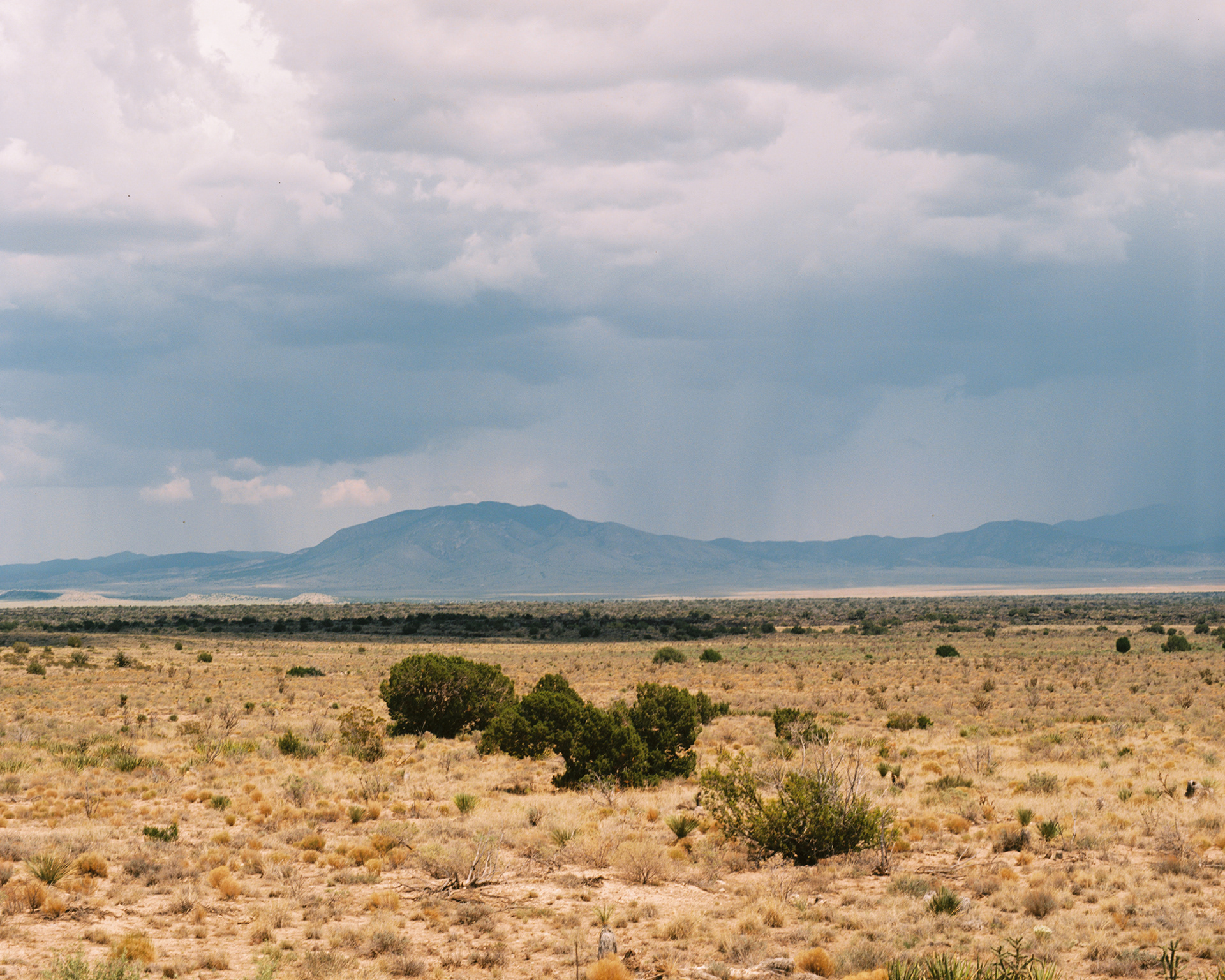 New Mexico, 2018