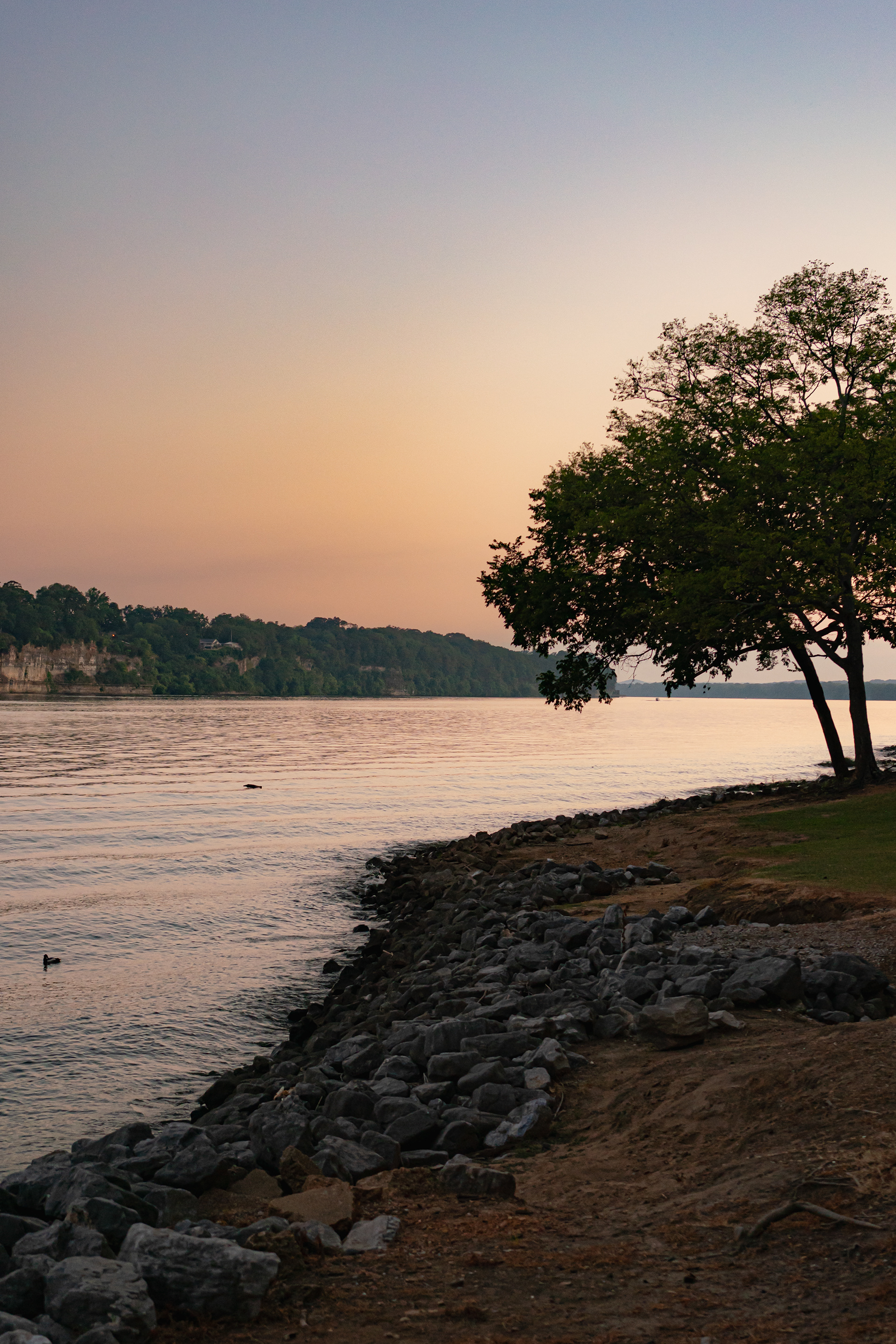Tennessee River, Florence, Alabama, 2024