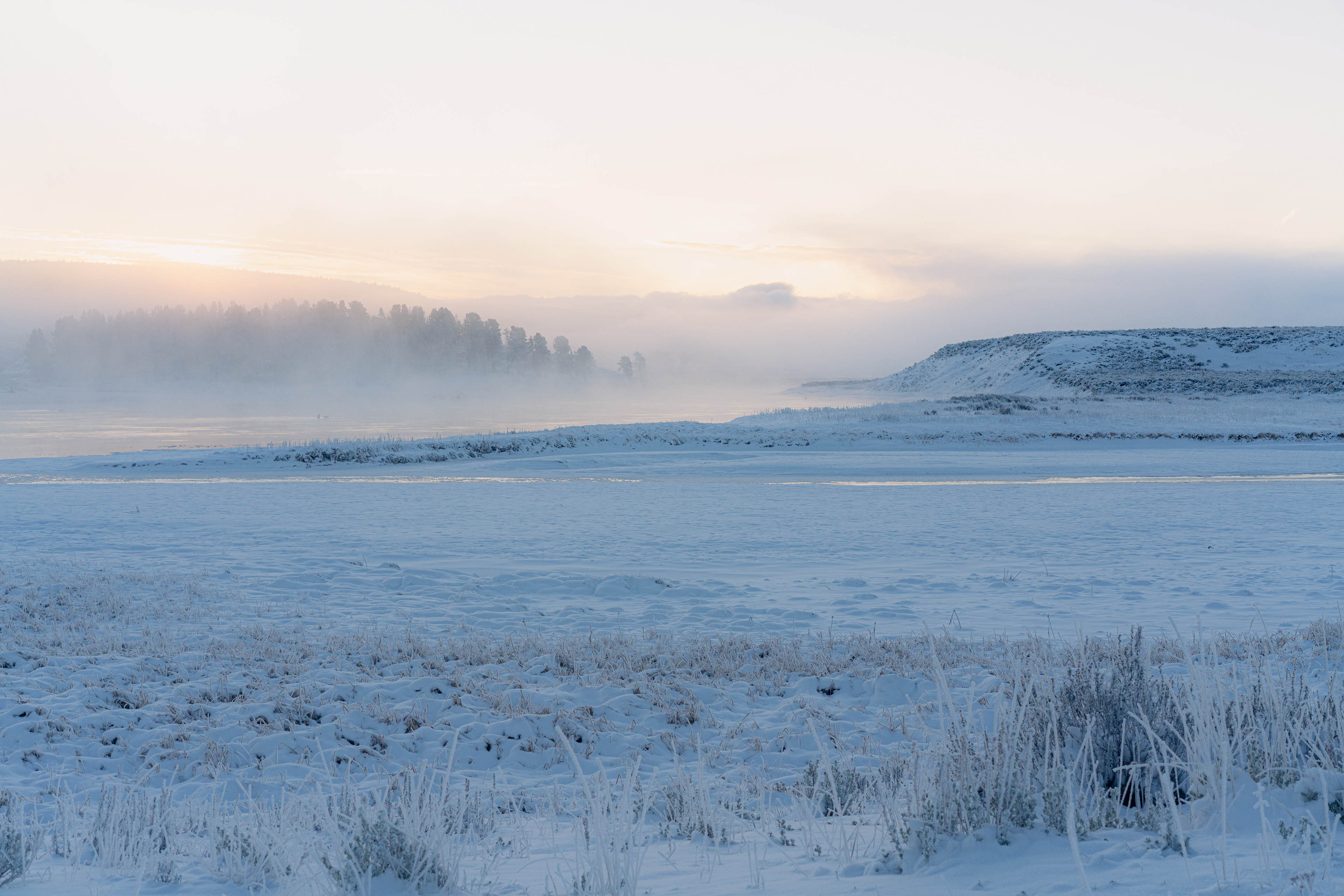 Snow in Hayden Valley, Yellowstone National Park, 2023