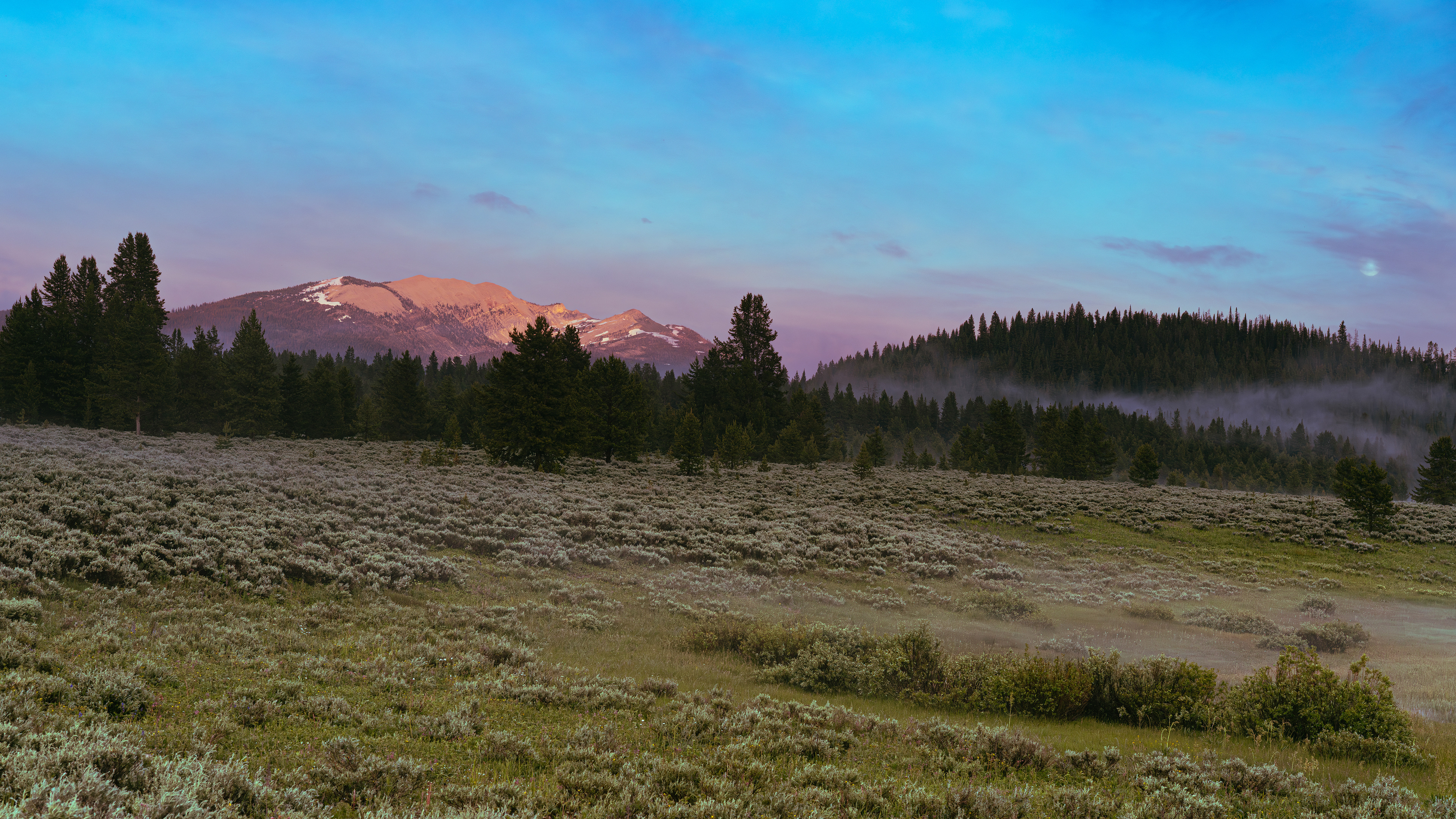 Yellowstone National Park, 2023