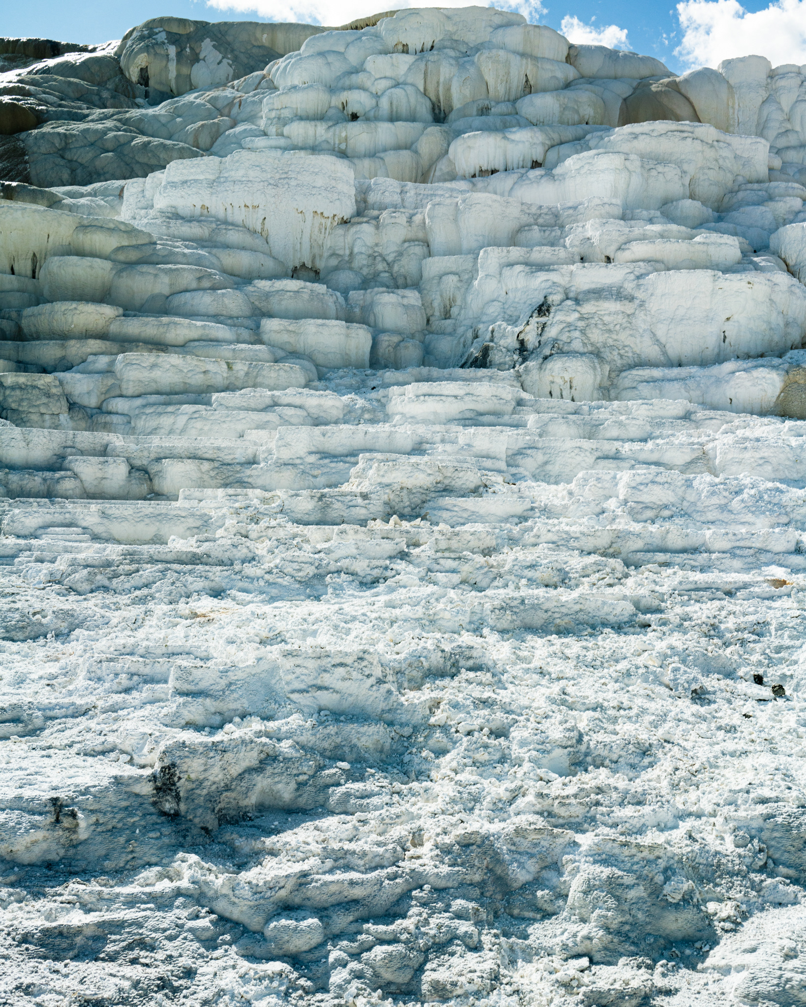 Mammoth Hot Springs, Yellowstone National Park, 2023