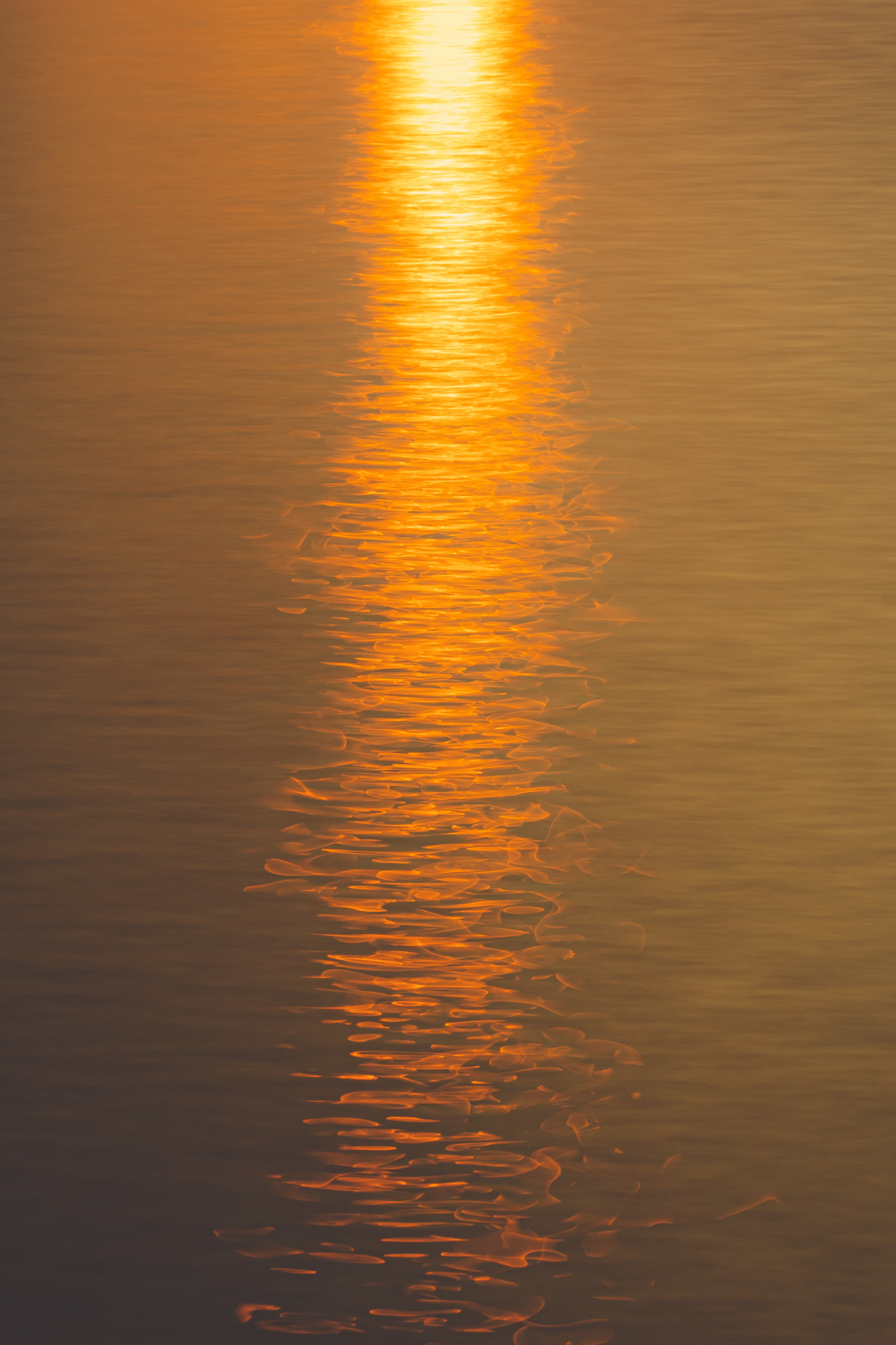 Sunrise on the Water, 2022