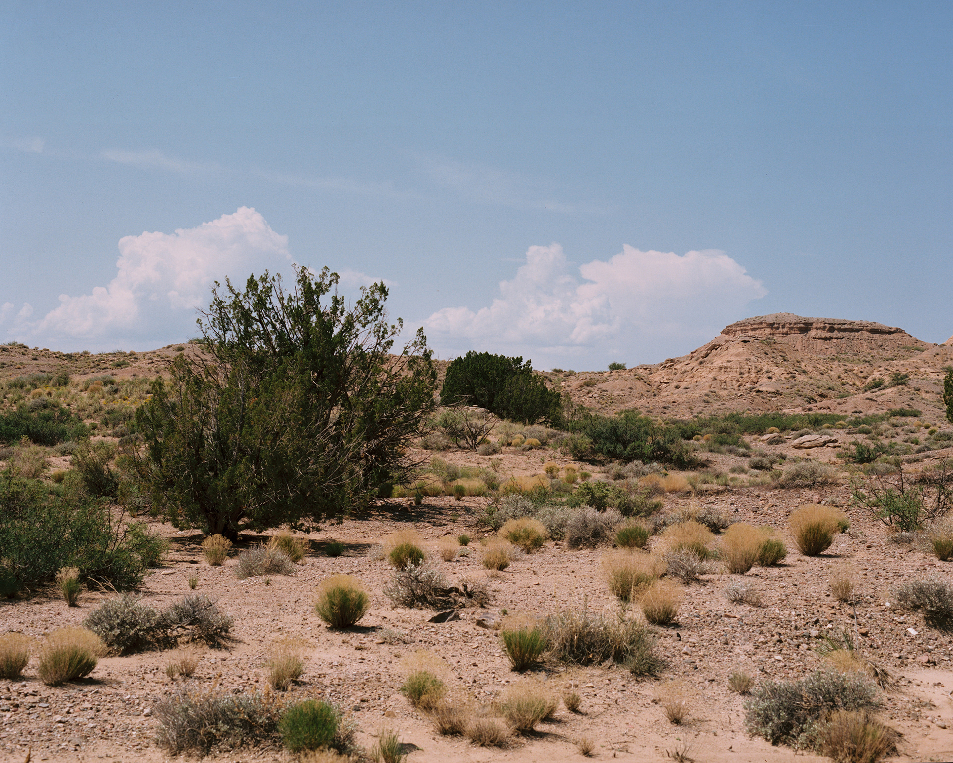 New Mexico, 2018