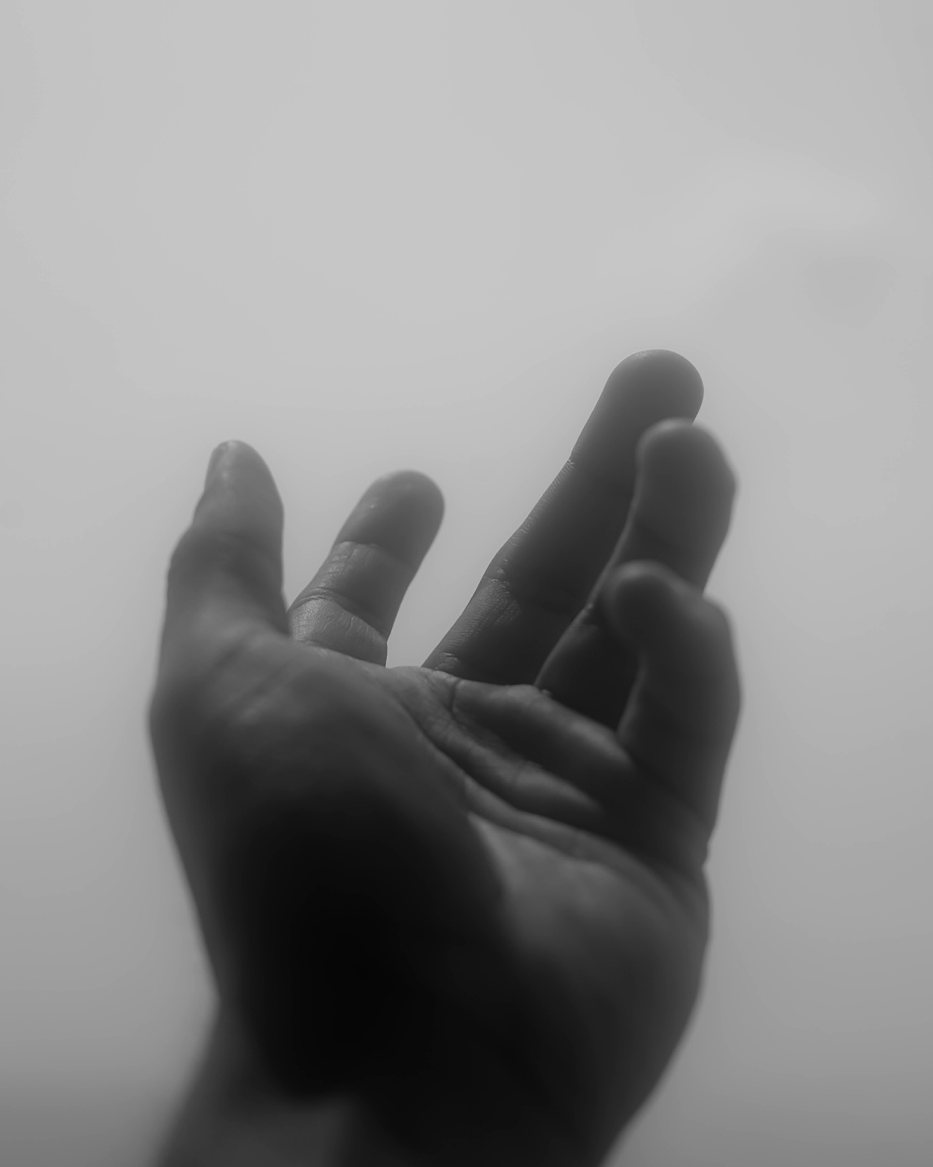 Hand, 2019