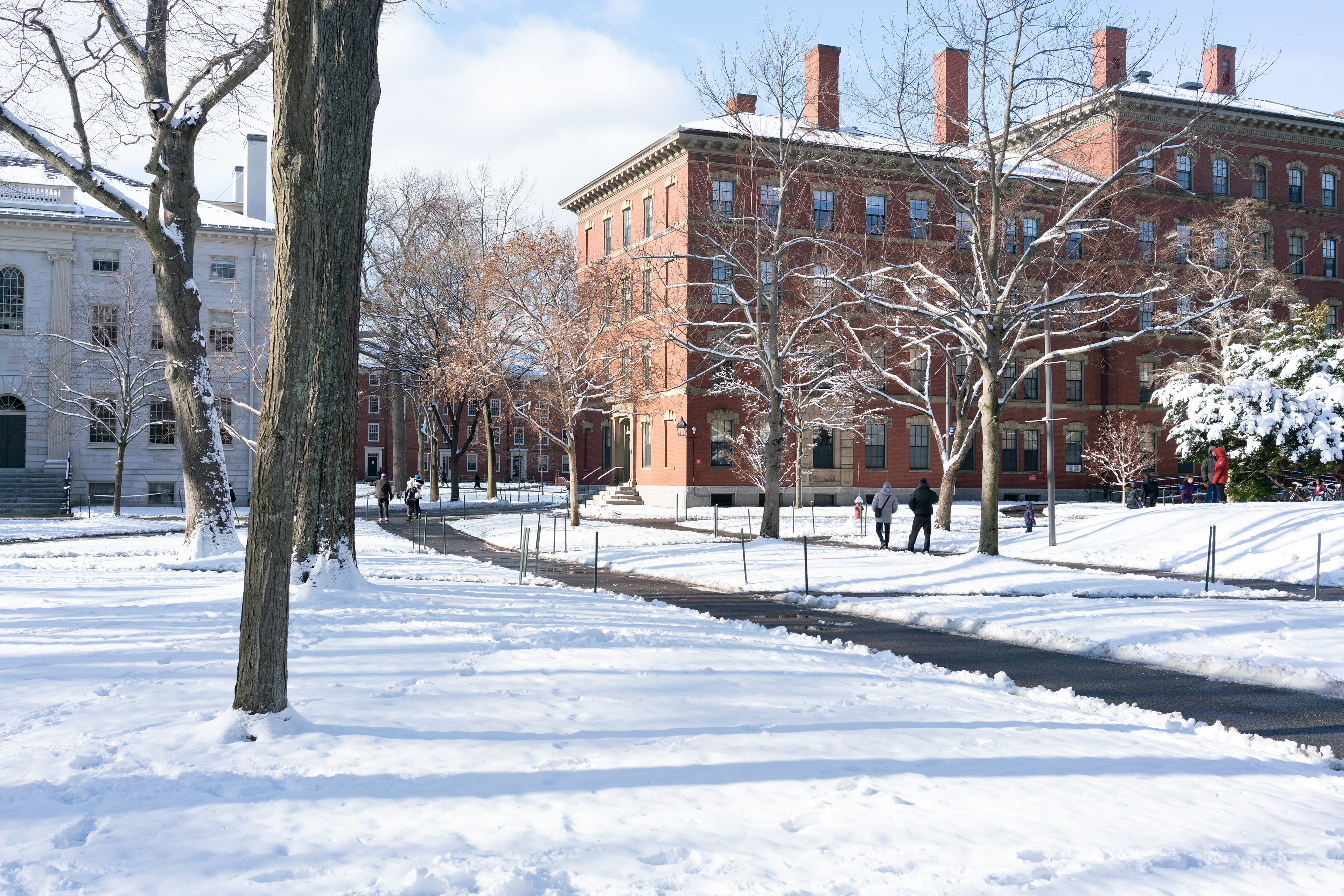 Harvard Campus, Cambridge, MA, 2024