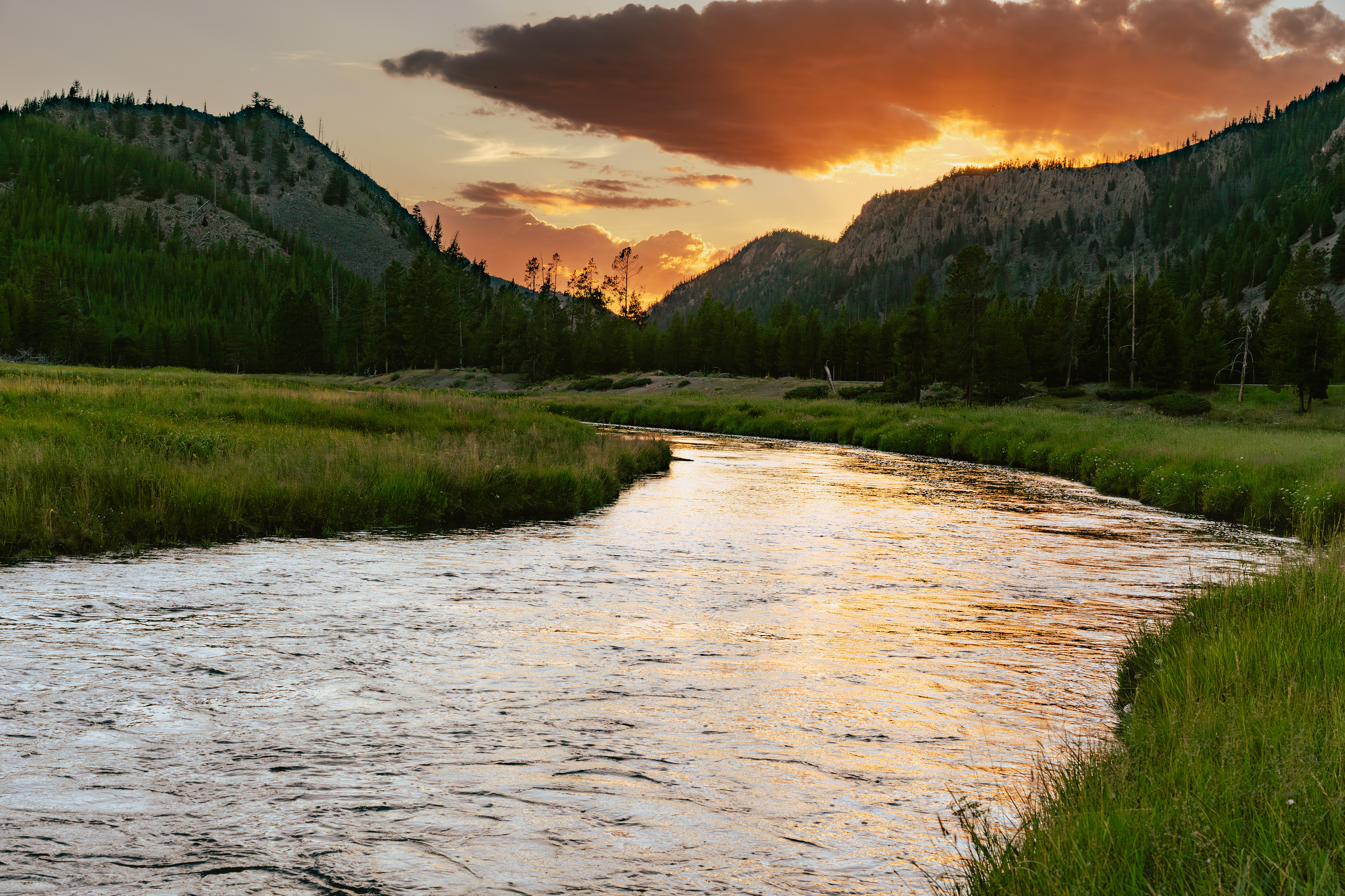 Yellowstone National Park, 2023