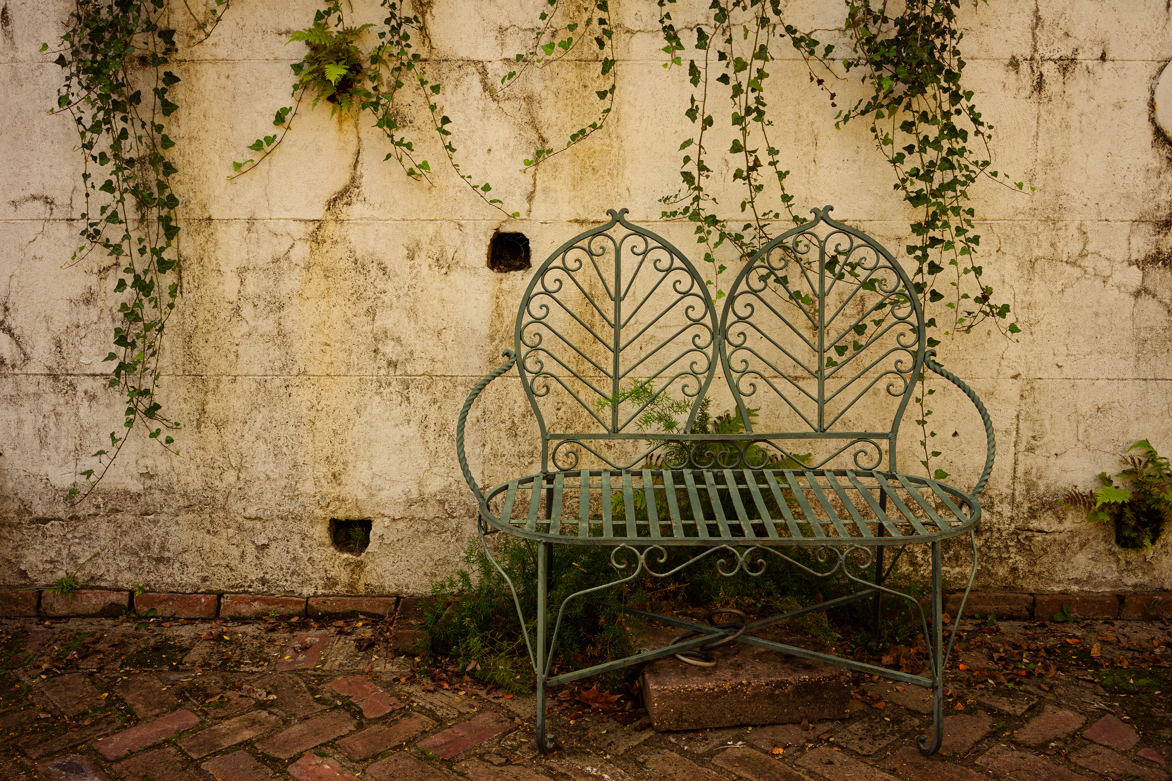 Bench at Natchez, Mississippi, 2021