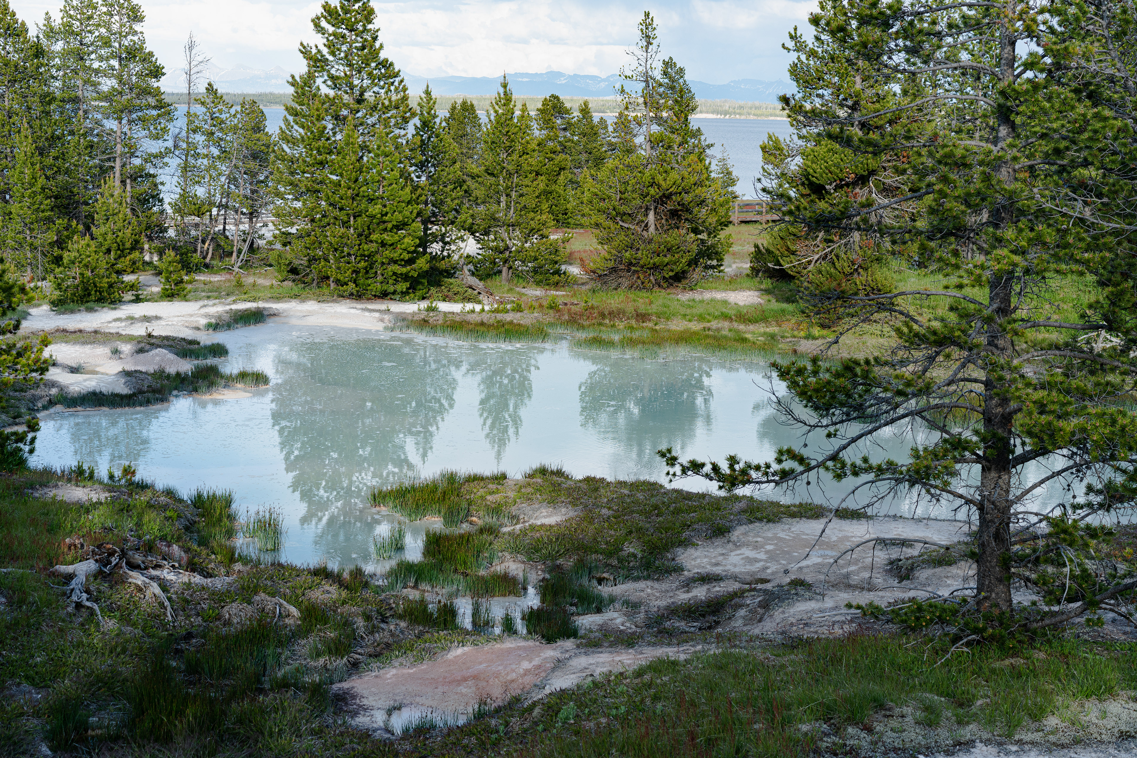Bluebell Pool, West Thumb, Yellowstone National Park, 2023