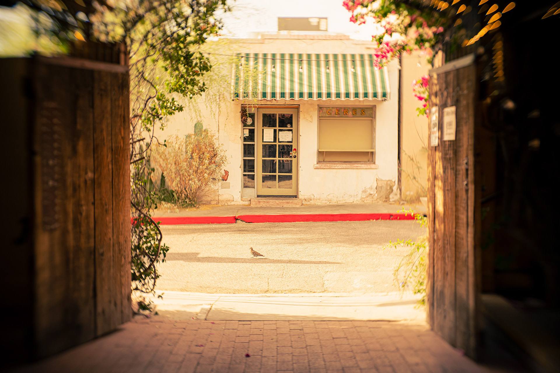 Barrio Viejo, Tucson, Arizona, 2021